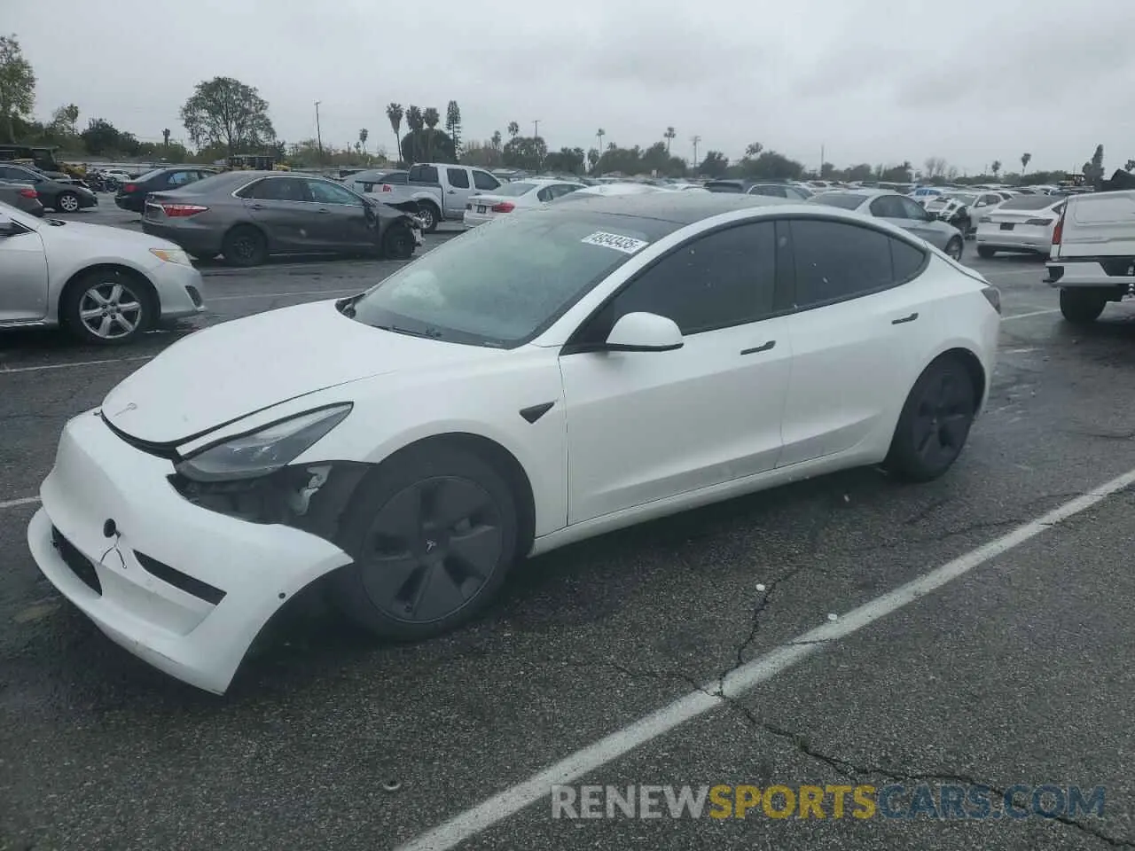 1 fotografías del automóvil dañado 5YJ3E1EA9MF929634 TESLA MODEL 3 2021