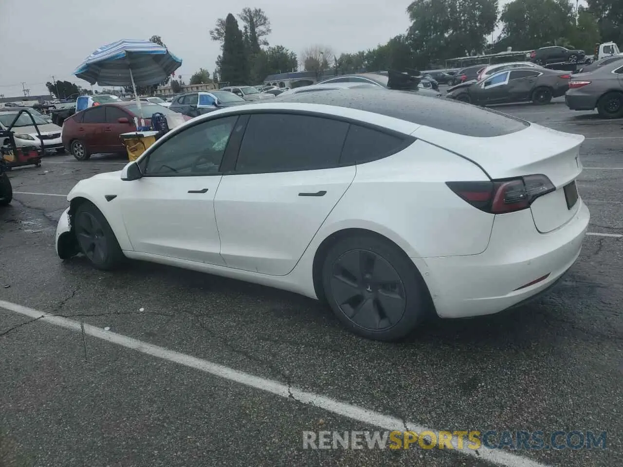 2 fotografías del automóvil dañado 5YJ3E1EA9MF929634 TESLA MODEL 3 2021