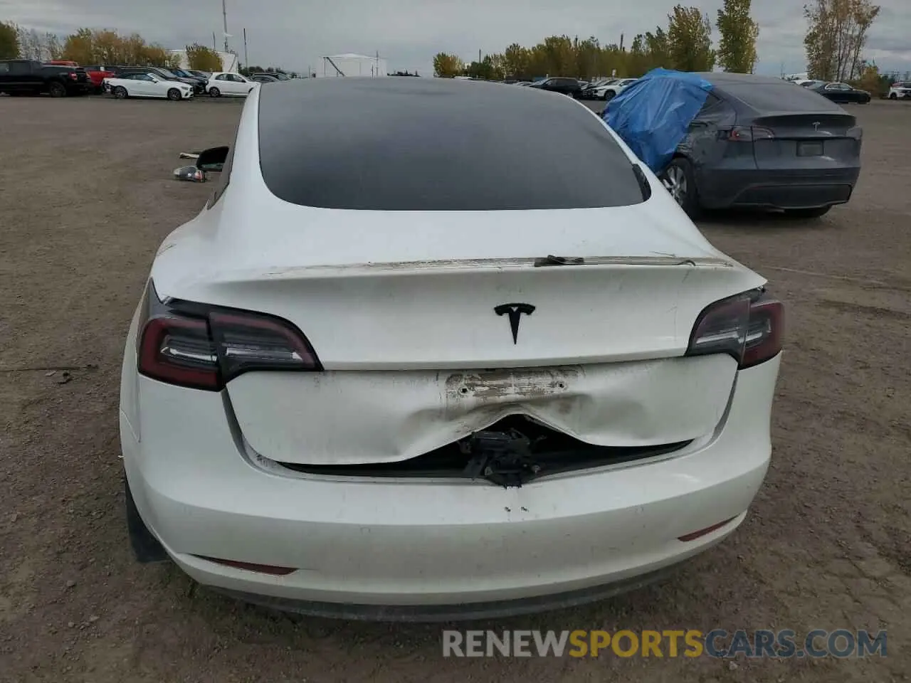 6 fotografías del automóvil dañado 5YJ3E1EAXMF094112 TESLA MODEL 3 2021