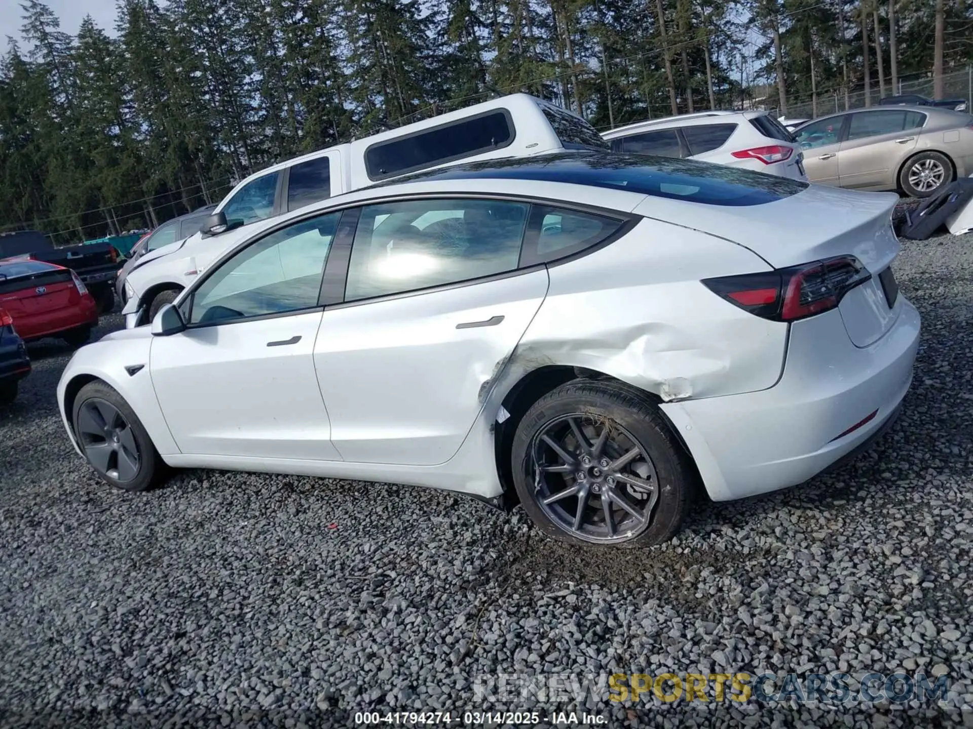 14 fotografías del automóvil dañado 5YJ3E1EAXMF871730 TESLA MODEL 3 2021