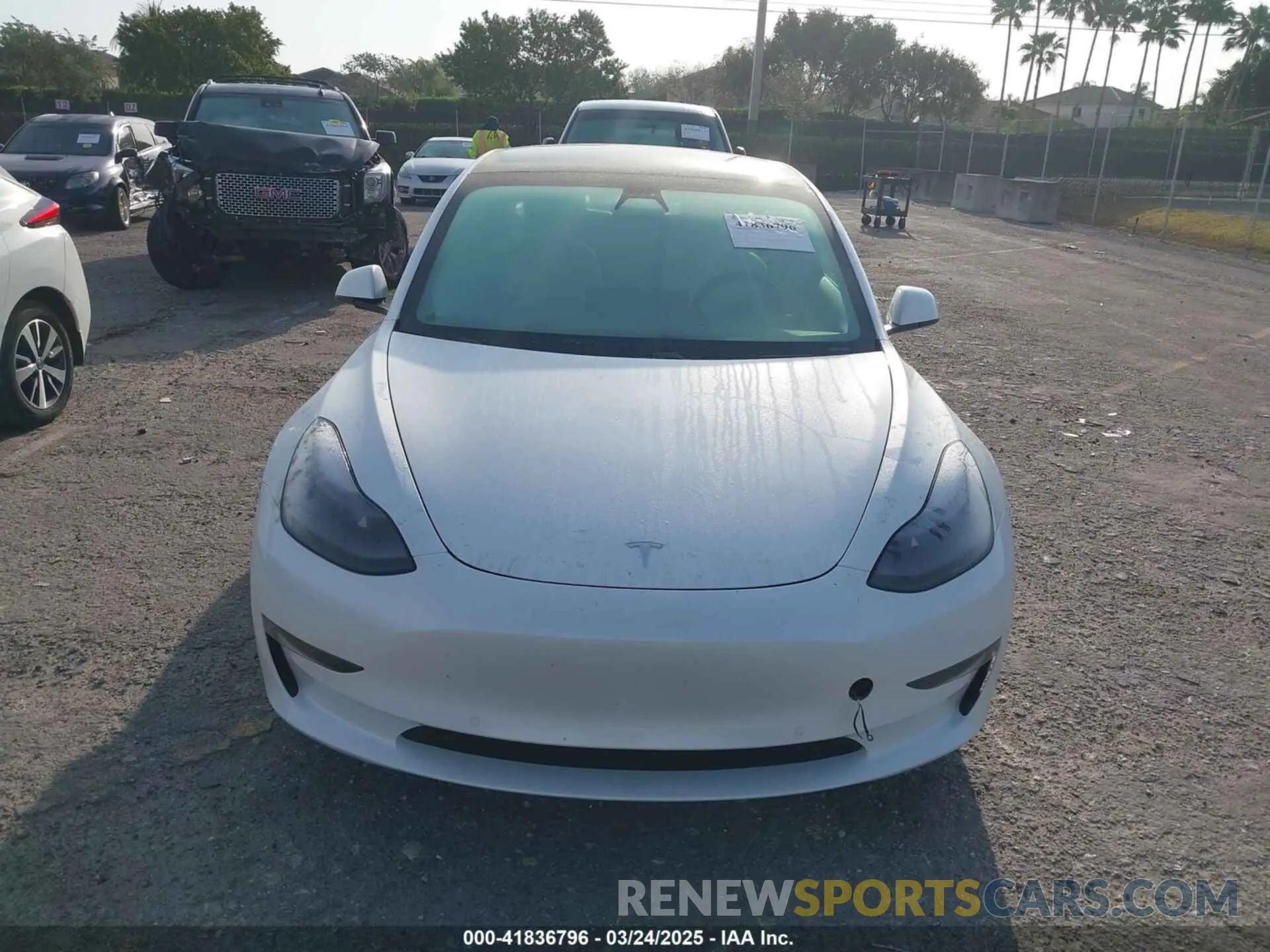 12 fotografías del automóvil dañado 5YJ3E1EAXMF908601 TESLA MODEL 3 2021