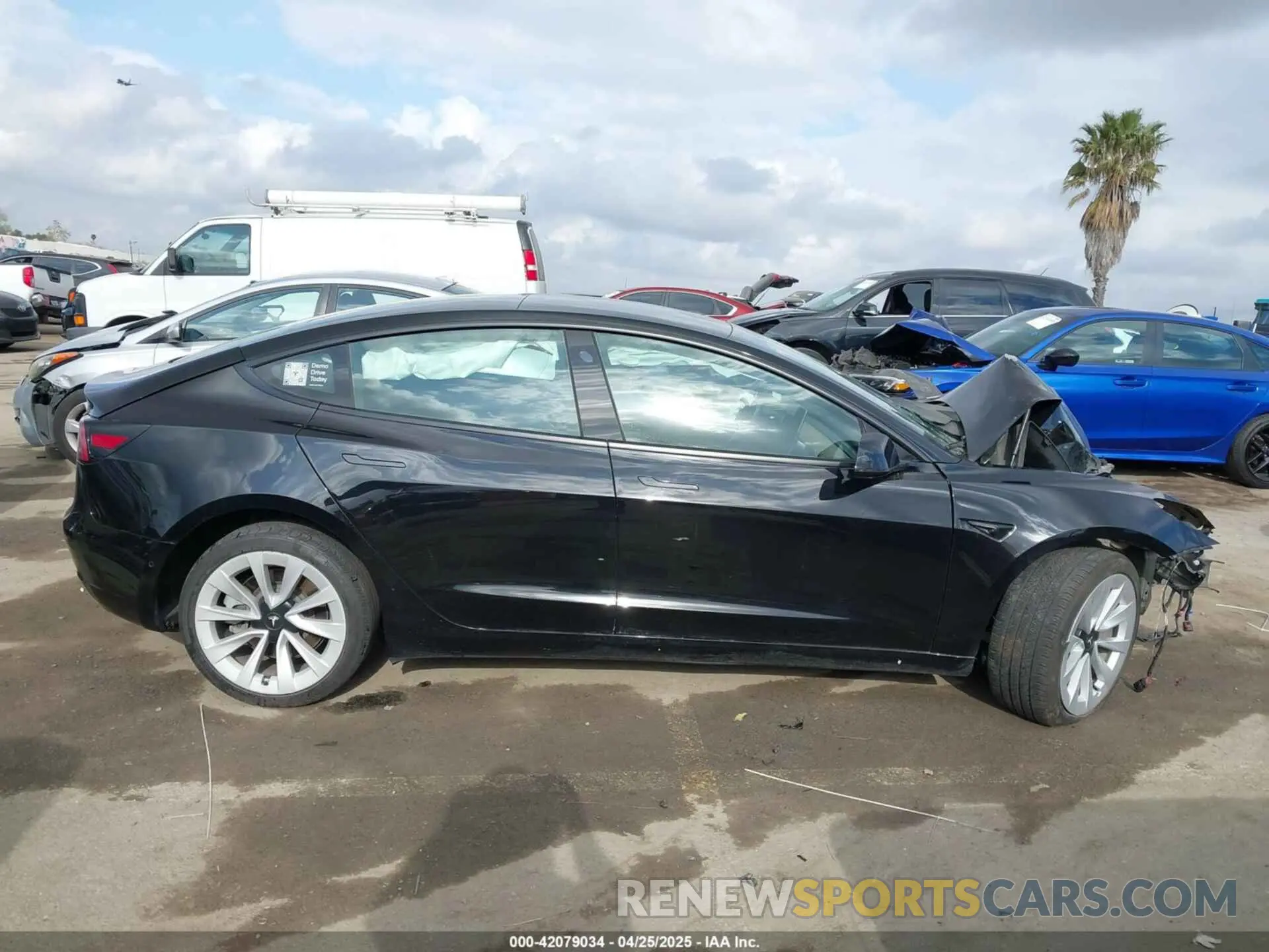 14 fotografías del automóvil dañado 5YJ3E1EB0MF855531 TESLA MODEL 3 2021