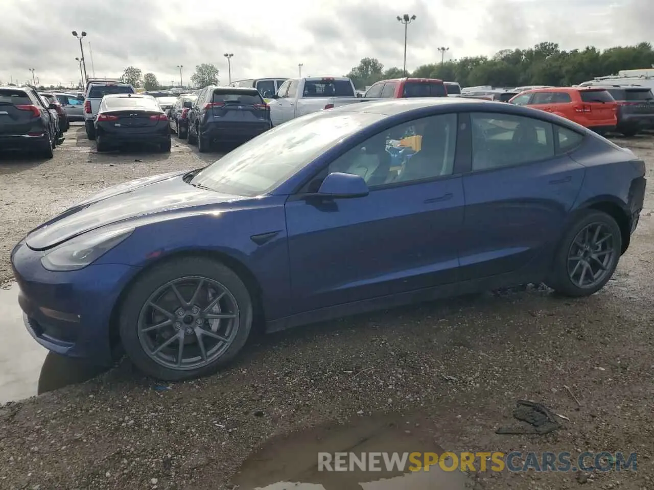 1 fotografías del automóvil dañado 5YJ3E1EB1MF063971 TESLA MODEL 3 2021