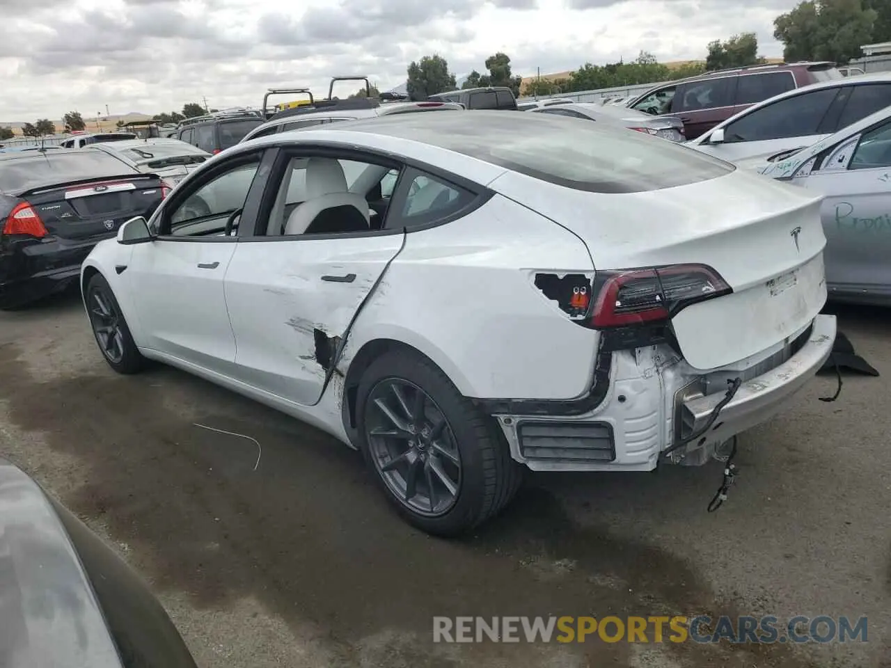 2 fotografías del automóvil dañado 5YJ3E1EB1MF937669 TESLA MODEL 3 2021