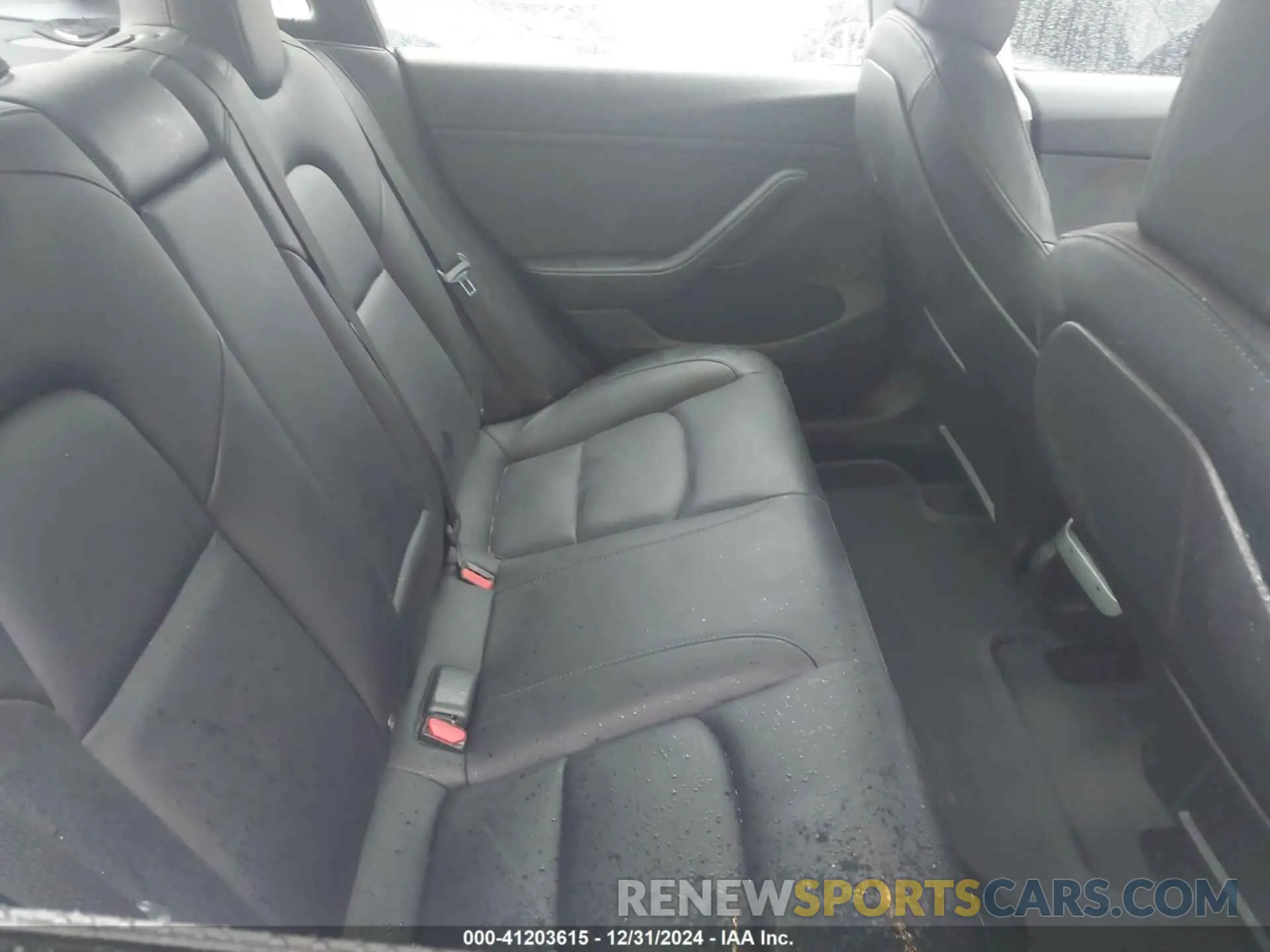 8 fotografías del automóvil dañado 5YJ3E1EB2MF037167 TESLA MODEL 3 2021