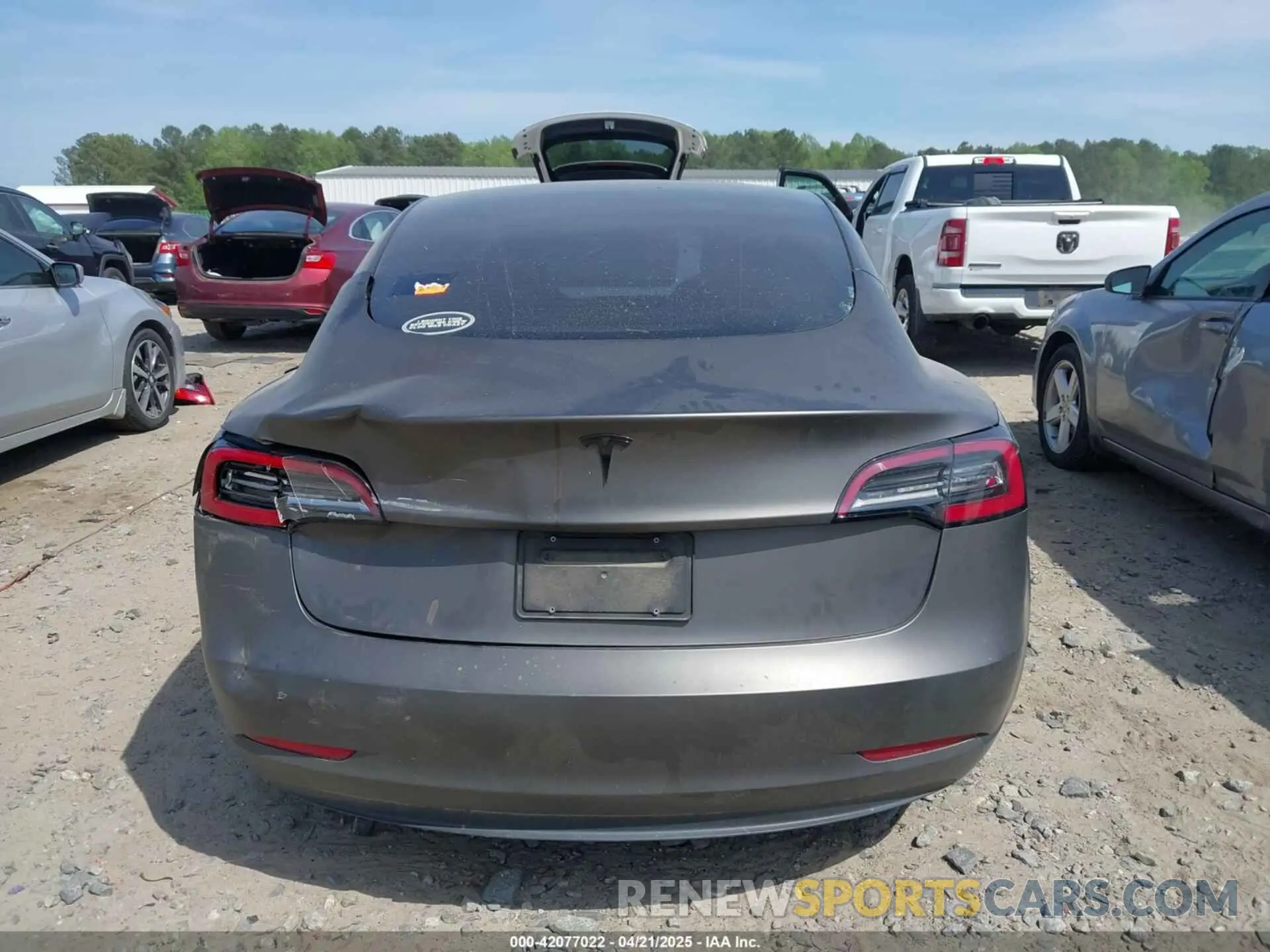 16 fotografías del automóvil dañado 5YJ3E1EB3MF014884 TESLA MODEL 3 2021