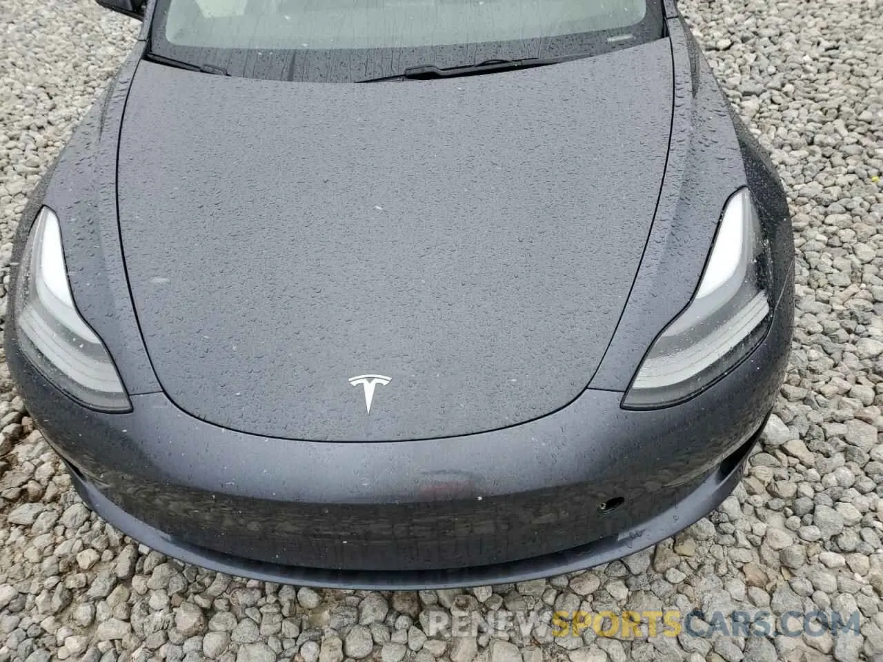 11 fotografías del automóvil dañado 5YJ3E1EB3MF019695 TESLA MODEL 3 2021