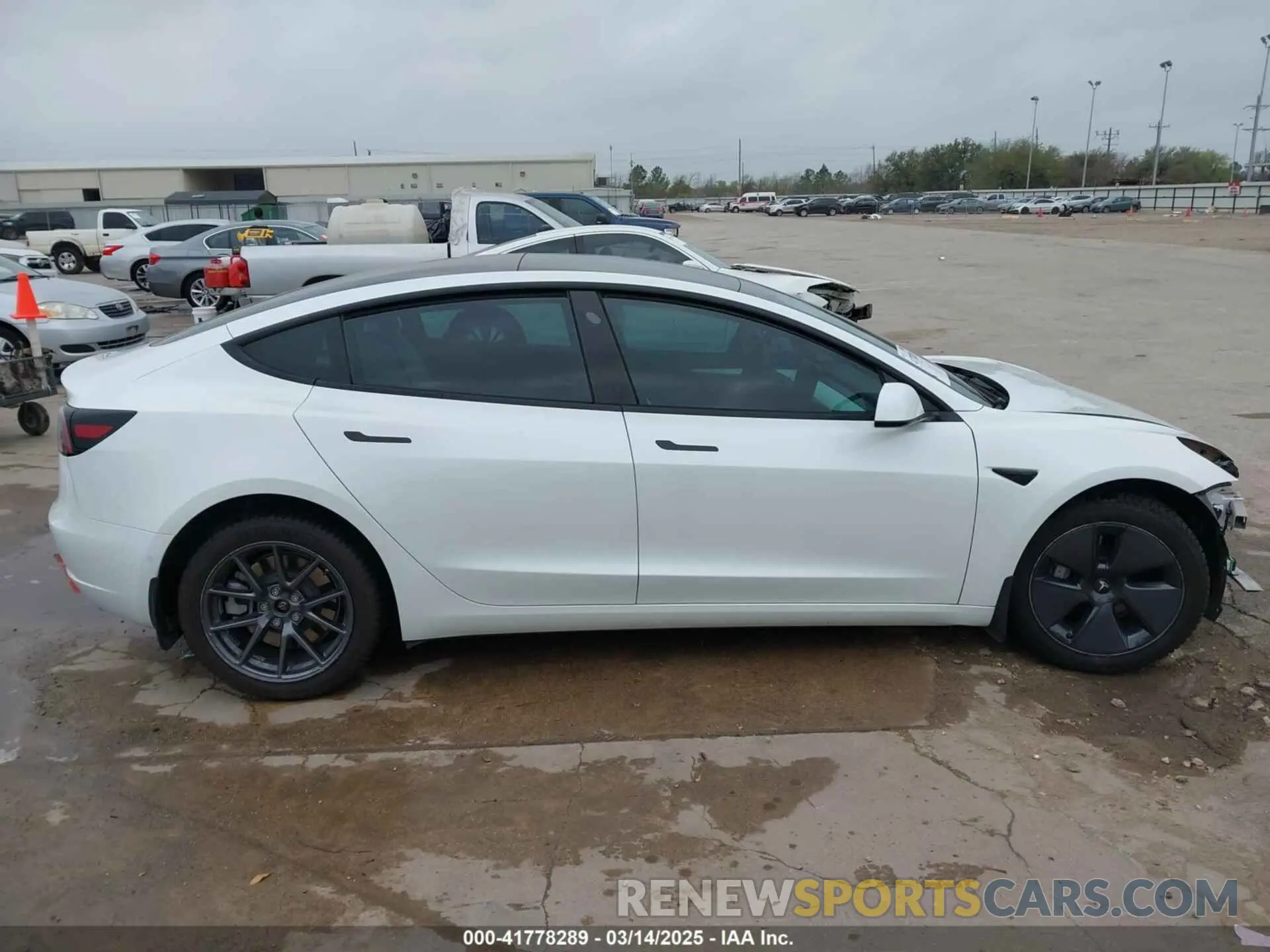 14 fotografías del automóvil dañado 5YJ3E1EB3MF059713 TESLA MODEL 3 2021