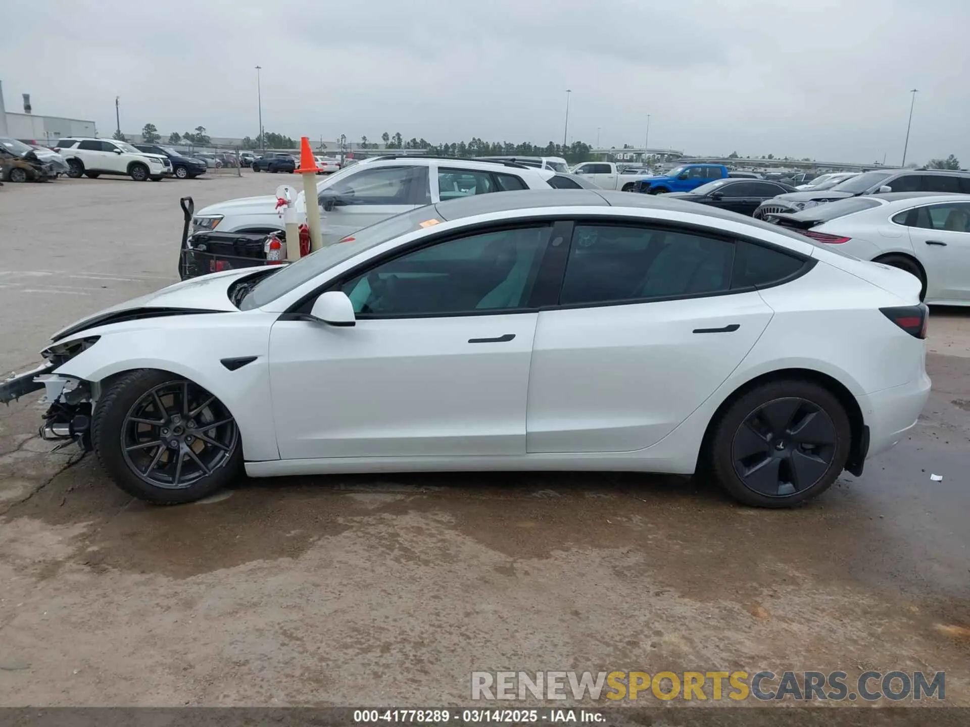 15 fotografías del automóvil dañado 5YJ3E1EB3MF059713 TESLA MODEL 3 2021