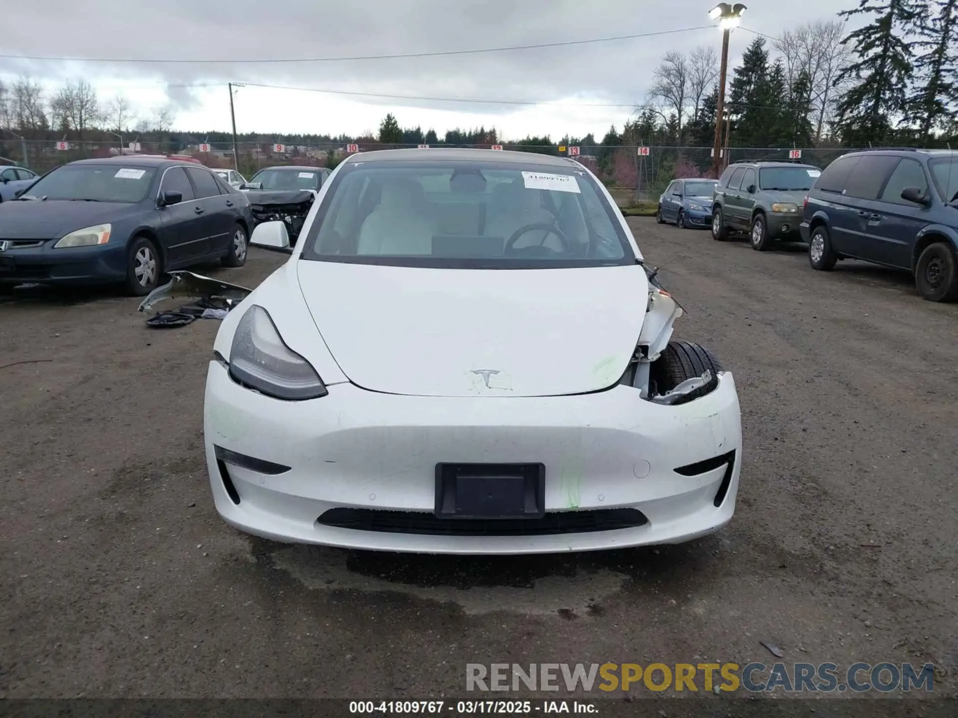 13 fotografías del automóvil dañado 5YJ3E1EB3MF856009 TESLA MODEL 3 2021