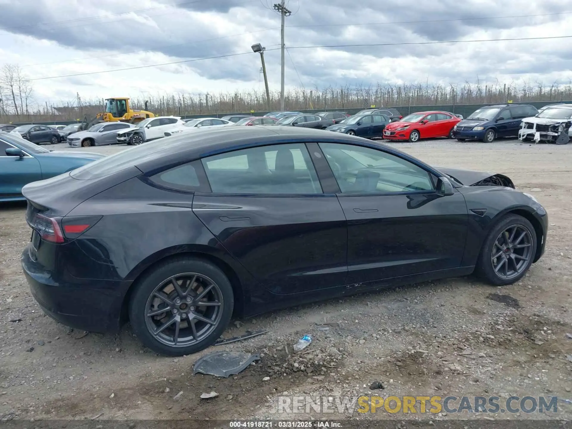13 fotografías del automóvil dañado 5YJ3E1EB4MF012822 TESLA MODEL 3 2021