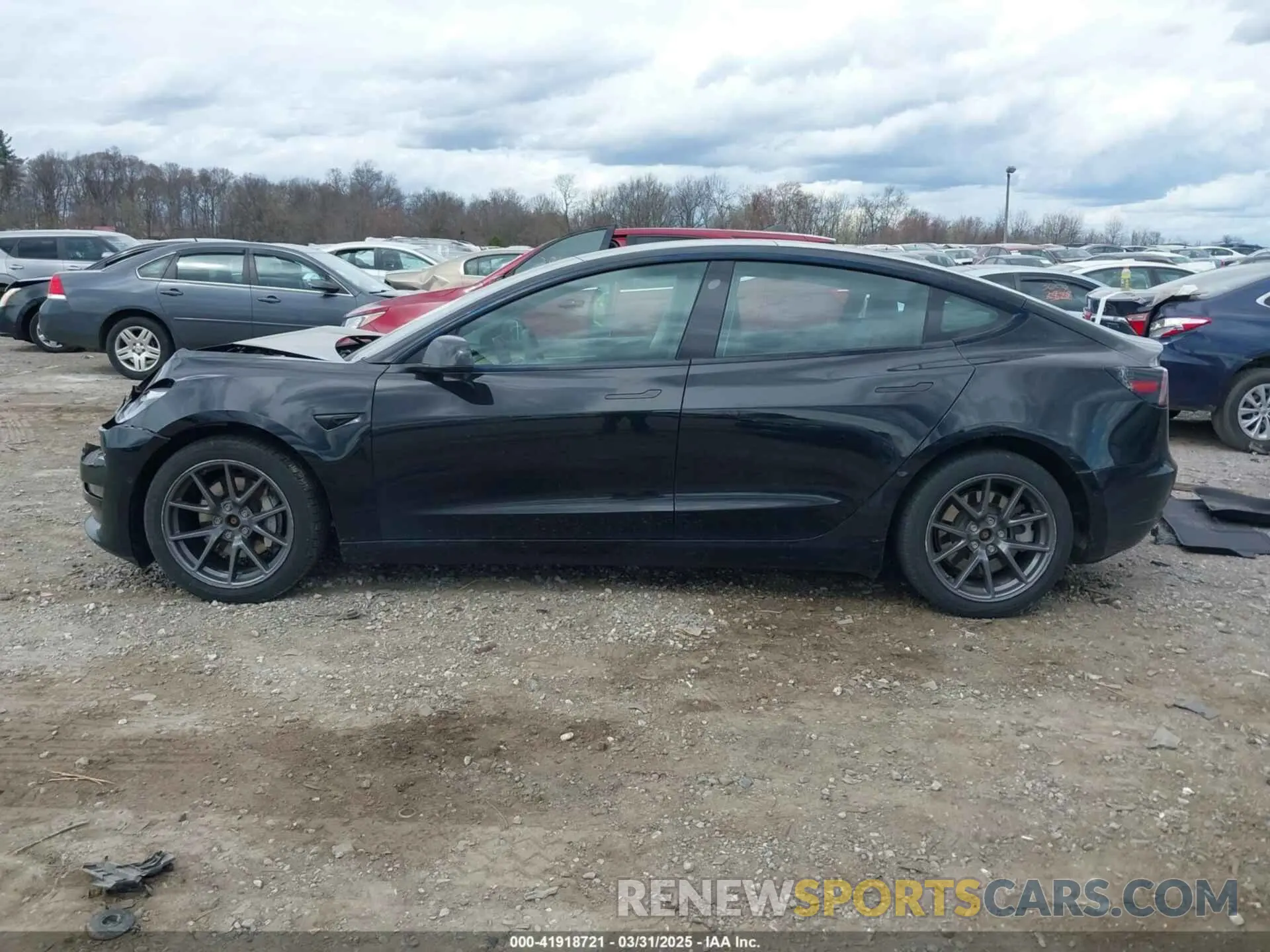 14 fotografías del automóvil dañado 5YJ3E1EB4MF012822 TESLA MODEL 3 2021