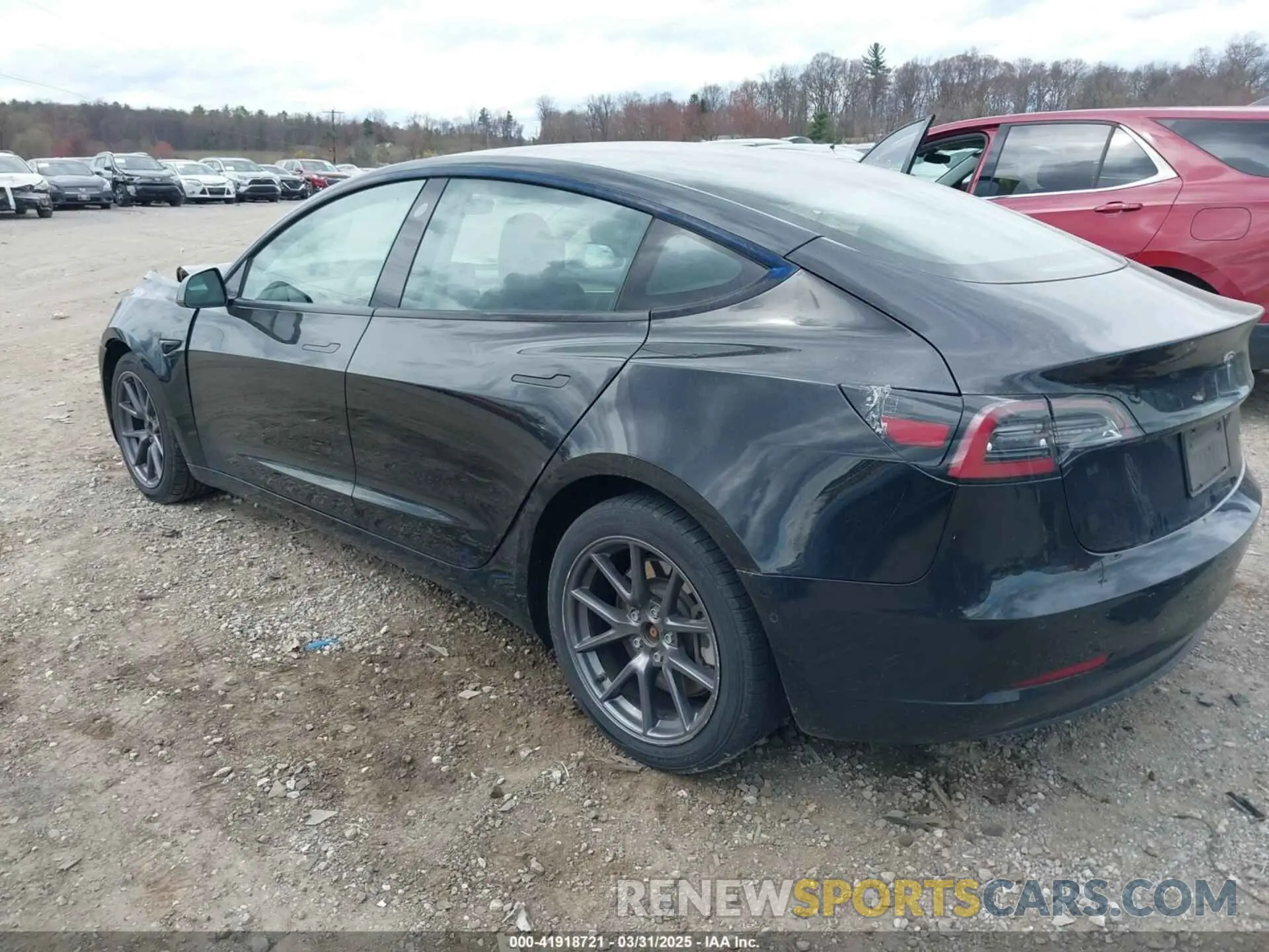 3 fotografías del automóvil dañado 5YJ3E1EB4MF012822 TESLA MODEL 3 2021