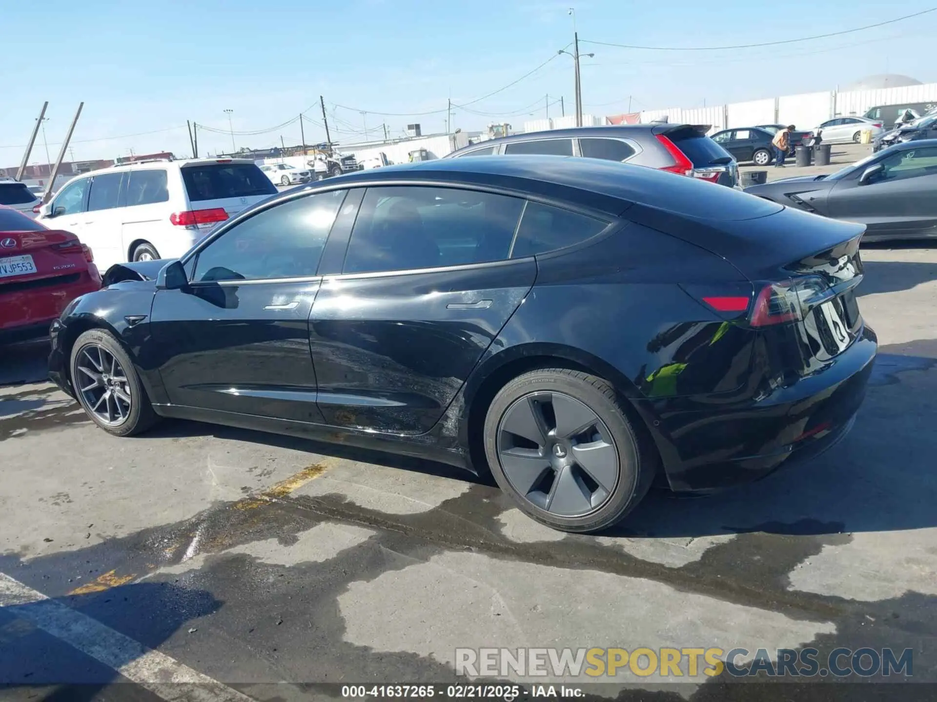 14 fotografías del automóvil dañado 5YJ3E1EB5MF019746 TESLA MODEL 3 2021