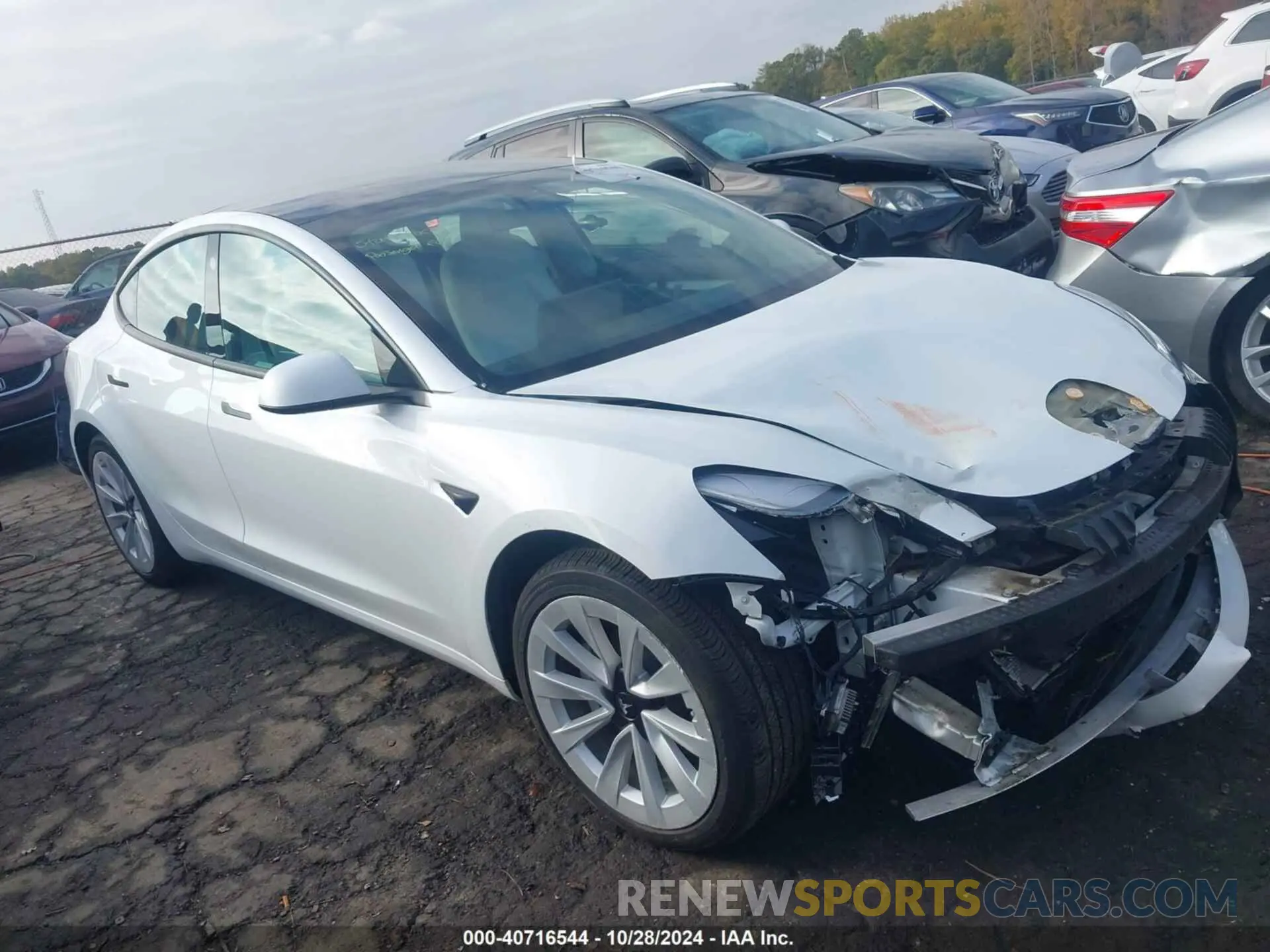 1 fotografías del automóvil dañado 5YJ3E1EB6MF061231 TESLA MODEL 3 2021