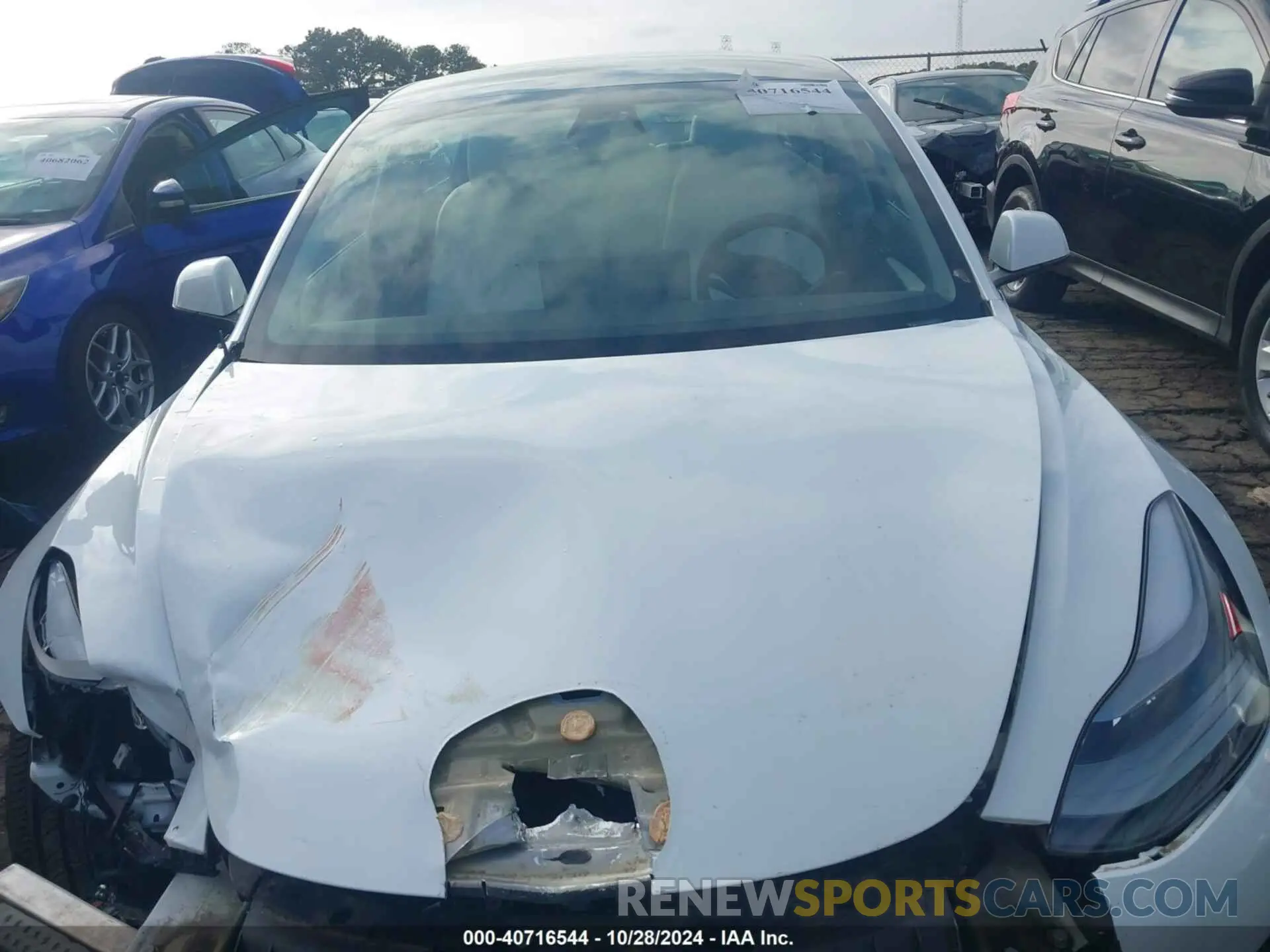 11 fotografías del automóvil dañado 5YJ3E1EB6MF061231 TESLA MODEL 3 2021