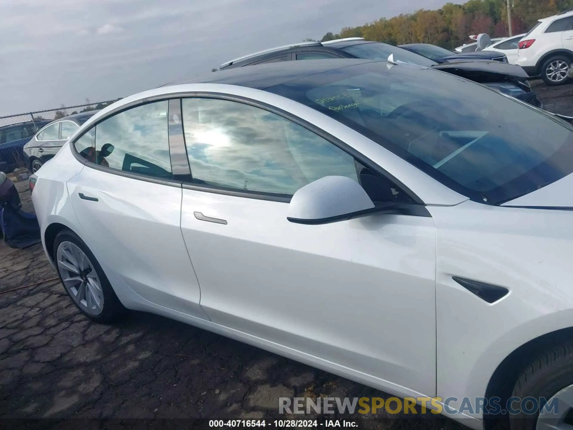 12 fotografías del automóvil dañado 5YJ3E1EB6MF061231 TESLA MODEL 3 2021