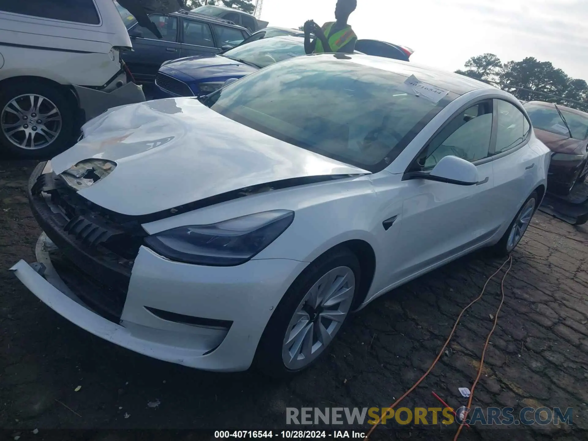 2 fotografías del automóvil dañado 5YJ3E1EB6MF061231 TESLA MODEL 3 2021