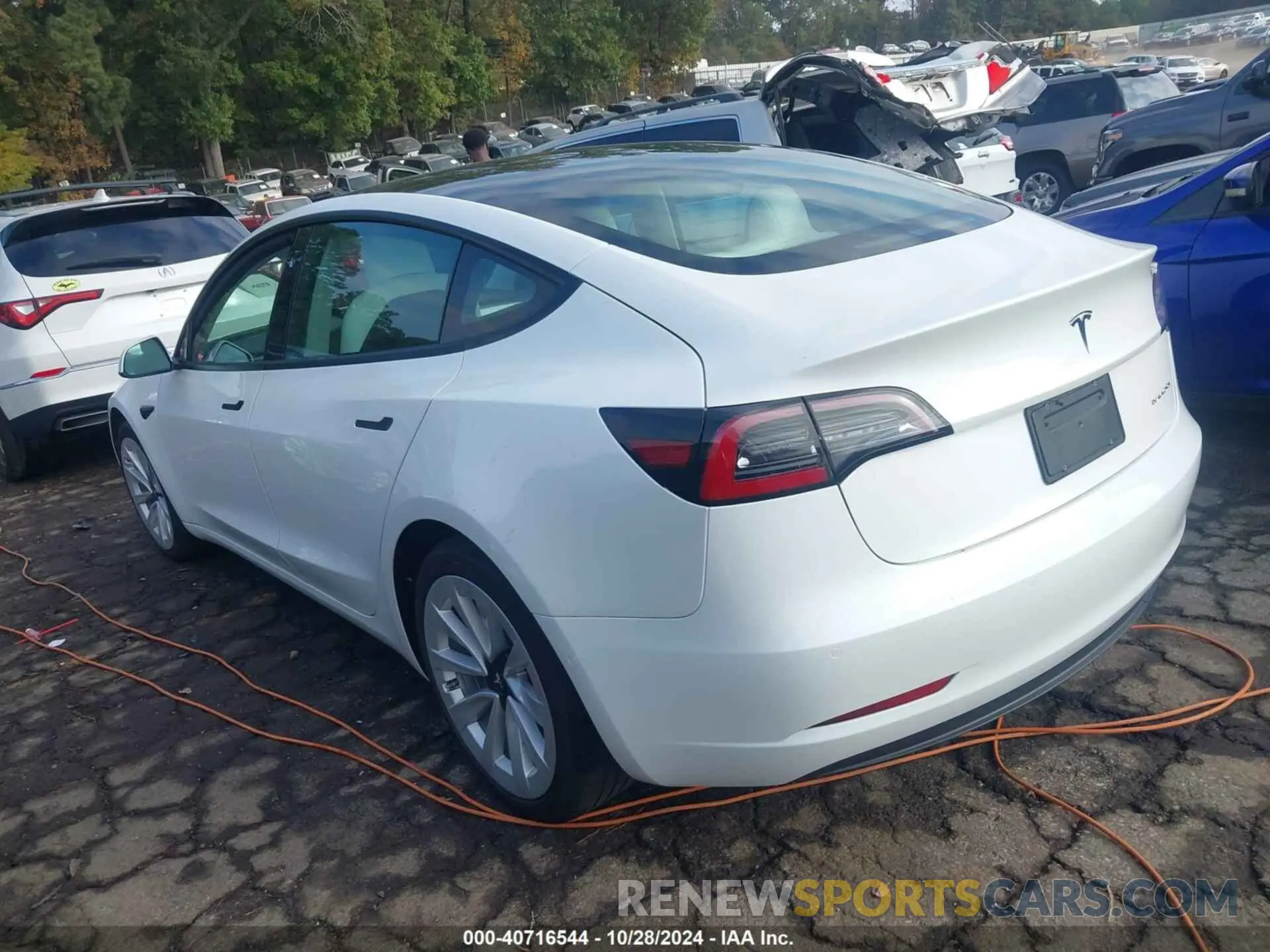 3 fotografías del automóvil dañado 5YJ3E1EB6MF061231 TESLA MODEL 3 2021