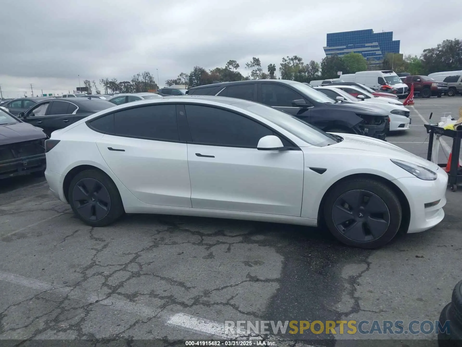 12 fotografías del automóvil dañado 5YJ3E1EB6MF878957 TESLA MODEL 3 2021