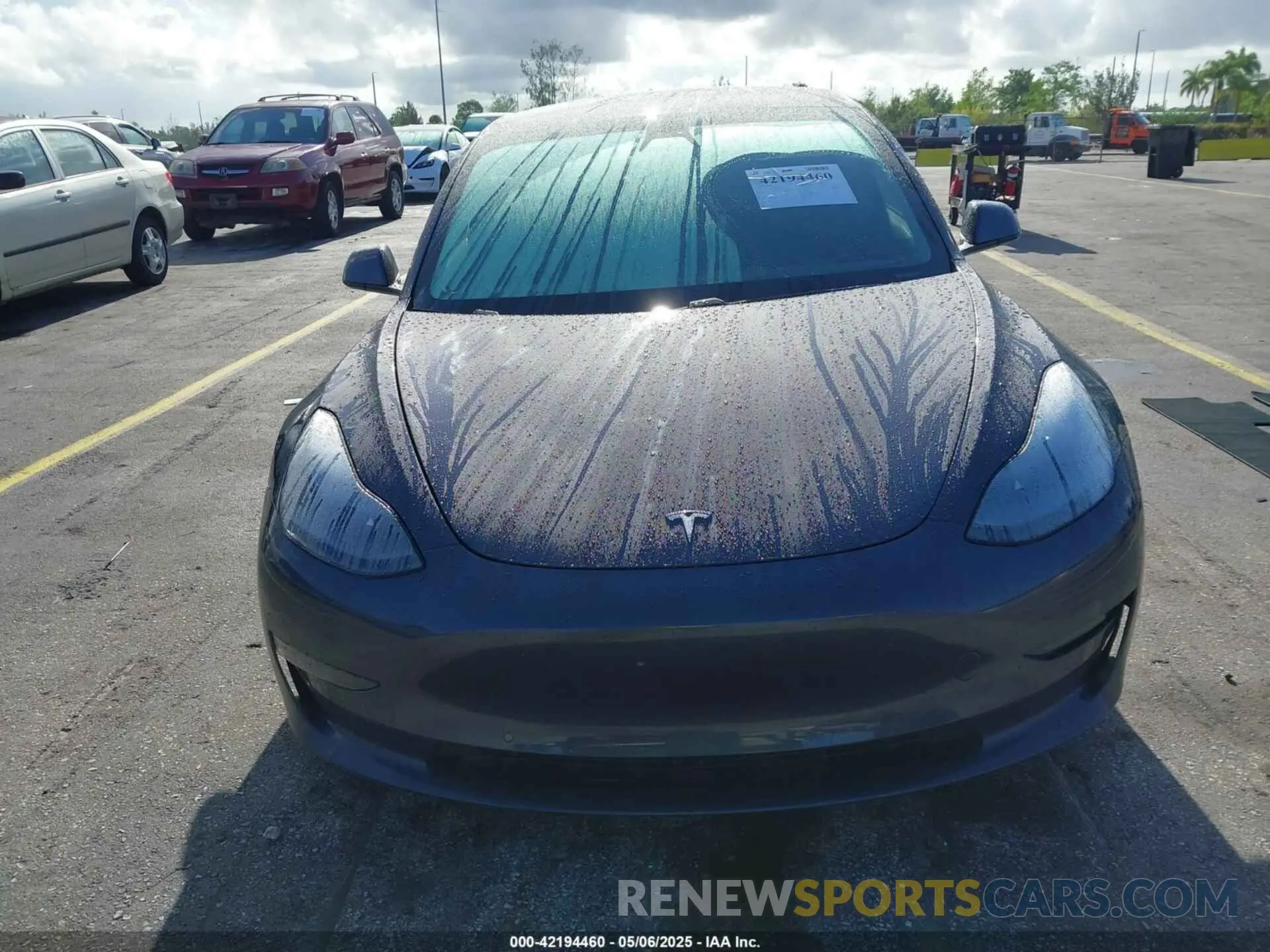 11 fotografías del automóvil dañado 5YJ3E1EB7MF030117 TESLA MODEL 3 2021