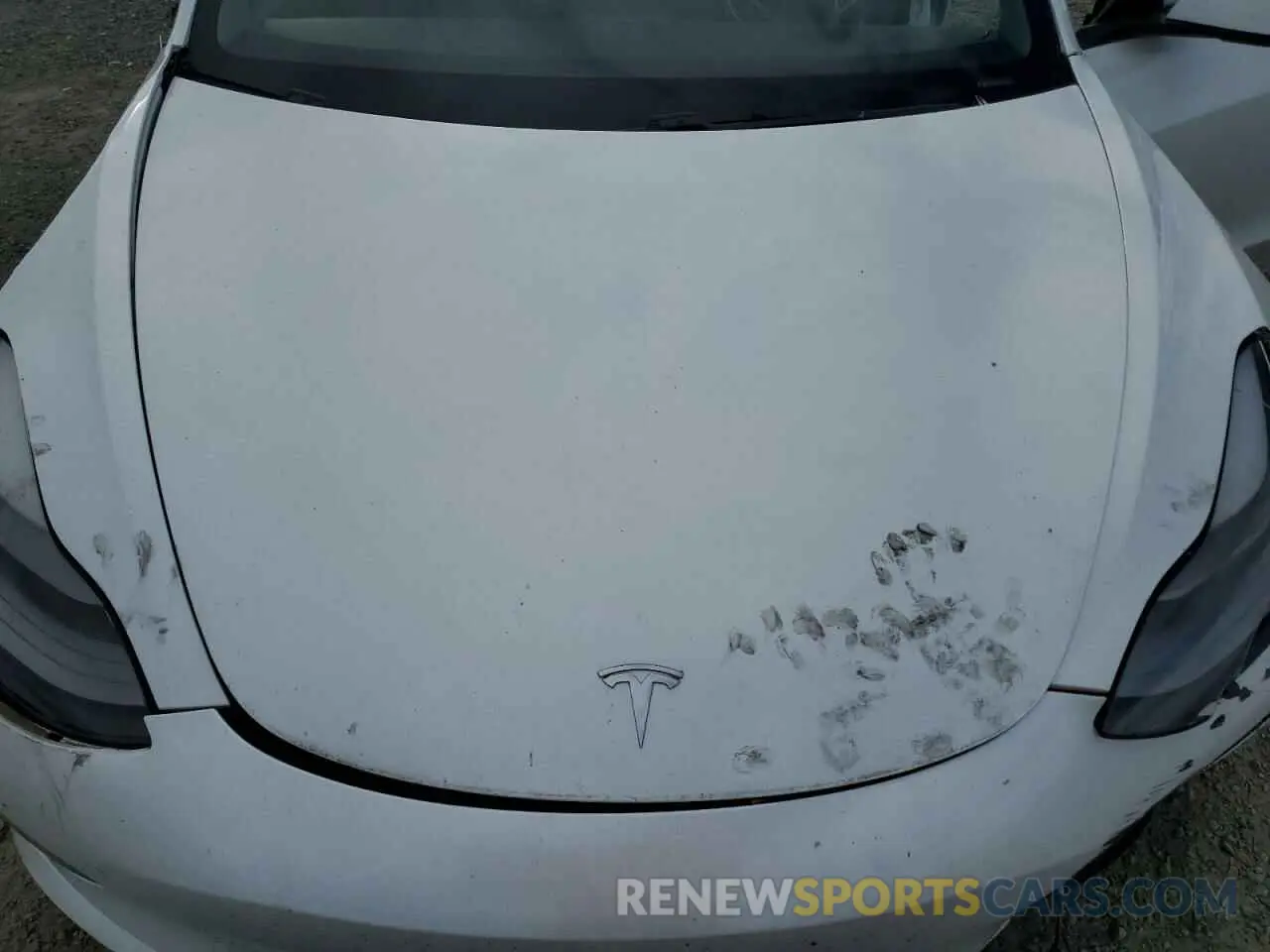 12 fotografías del automóvil dañado 5YJ3E1EB7MF874304 TESLA MODEL 3 2021