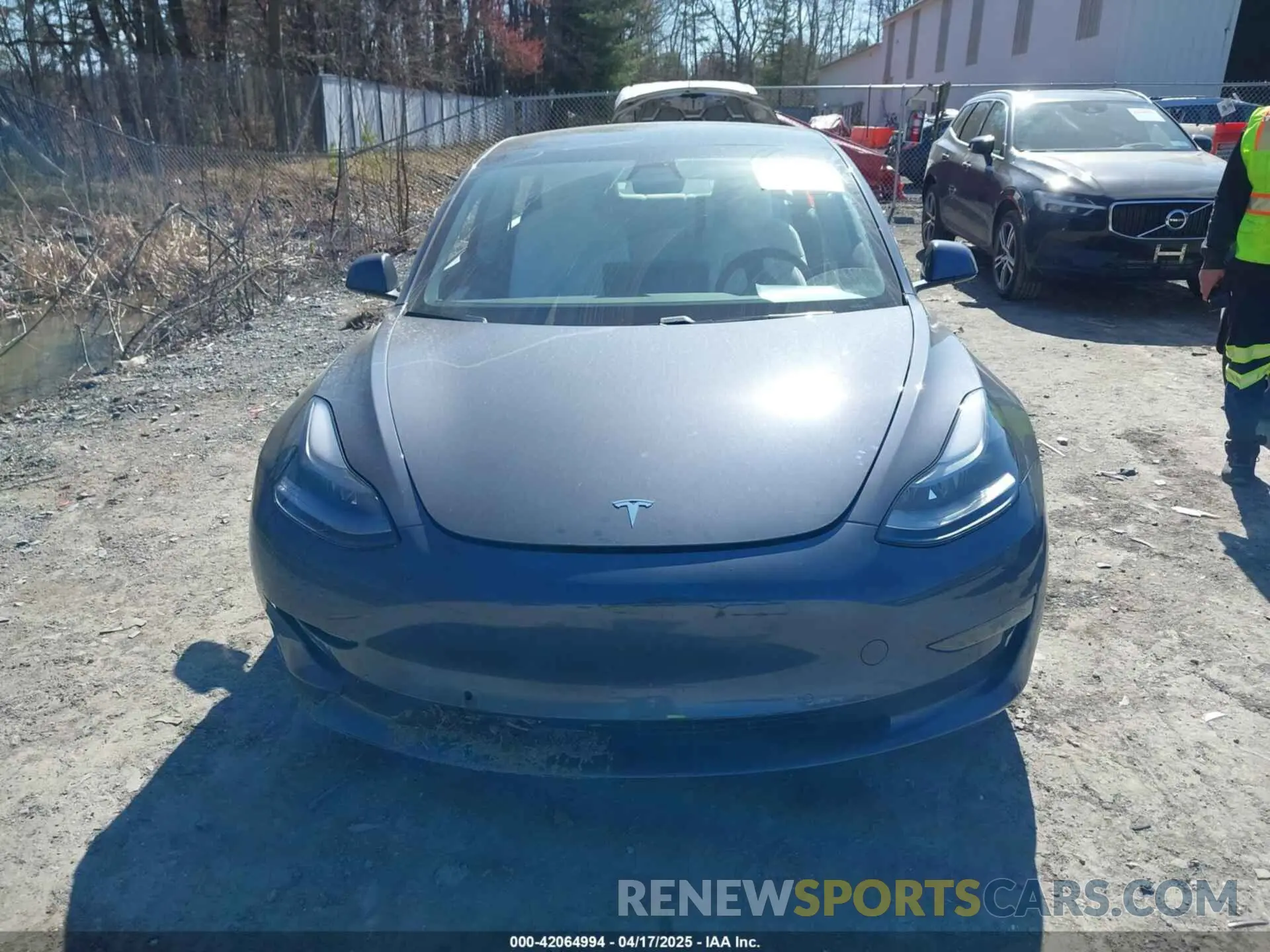 12 fotografías del automóvil dañado 5YJ3E1EB7MF981272 TESLA MODEL 3 2021