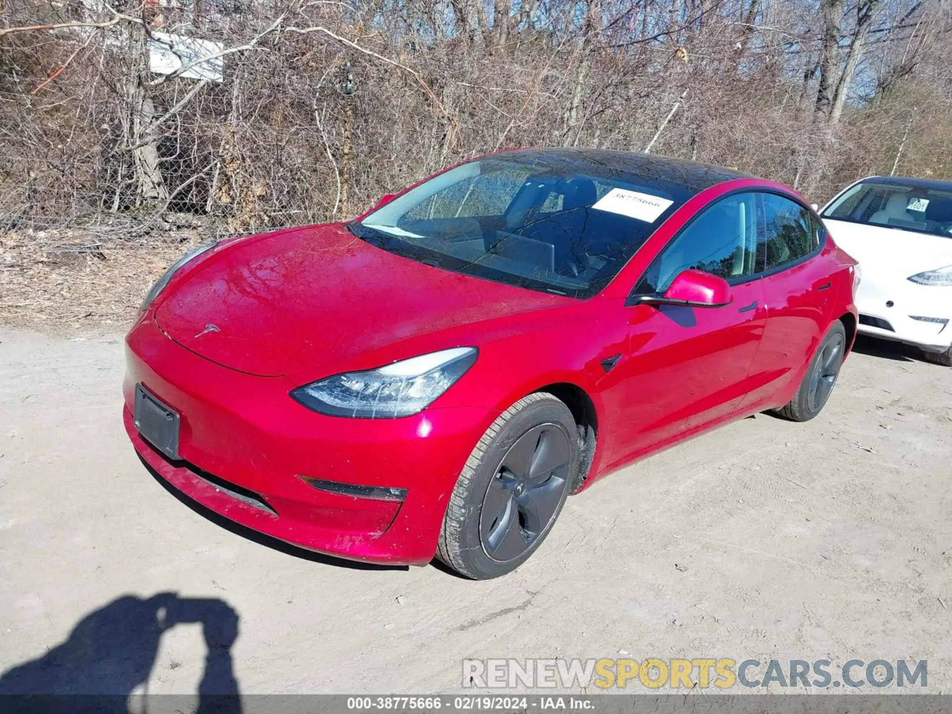 2 fotografías del automóvil dañado 5YJ3E1EB8MF858936 TESLA MODEL 3 2021