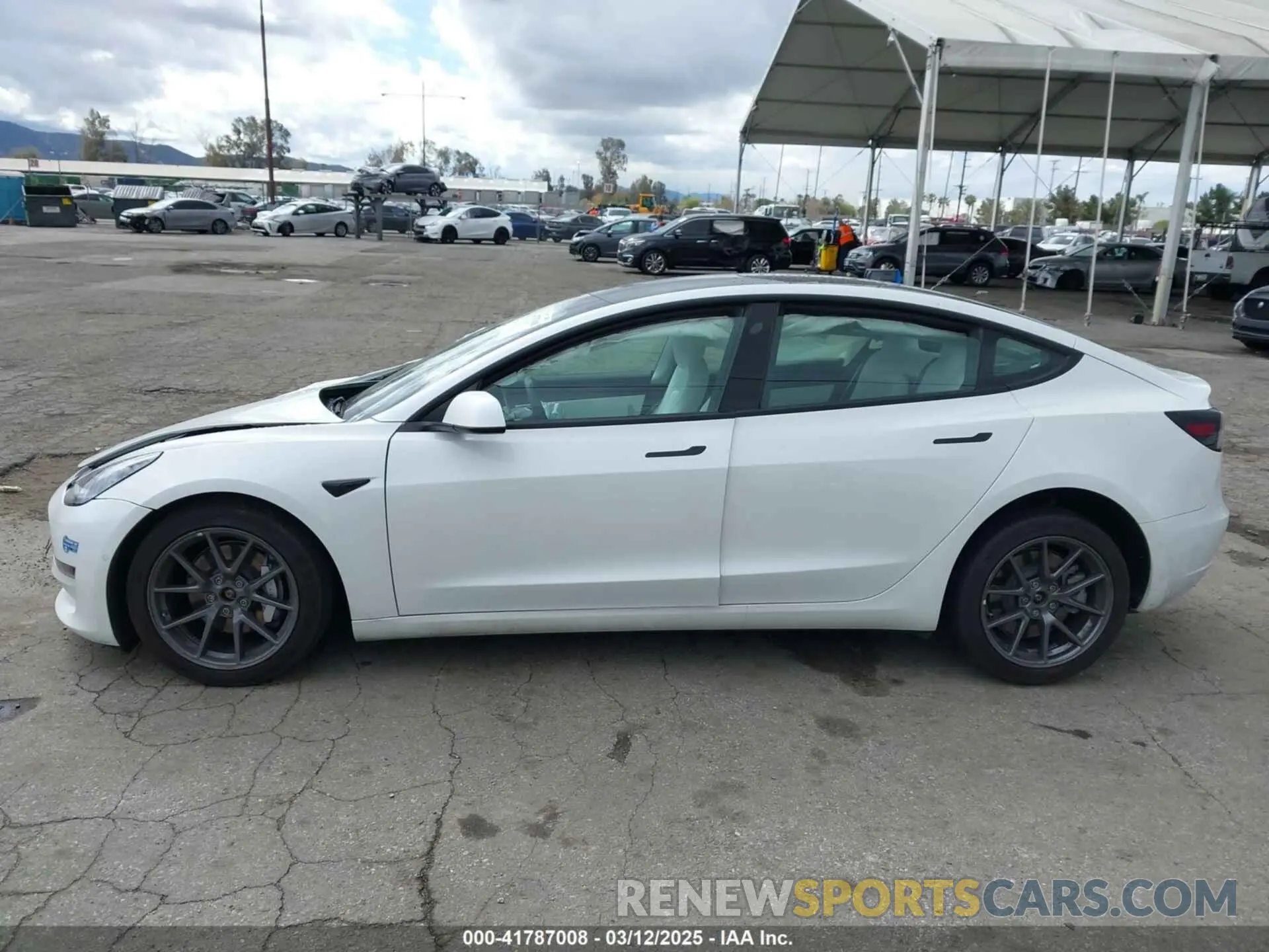 14 fotografías del automóvil dañado 5YJ3E1EB8MF860282 TESLA MODEL 3 2021