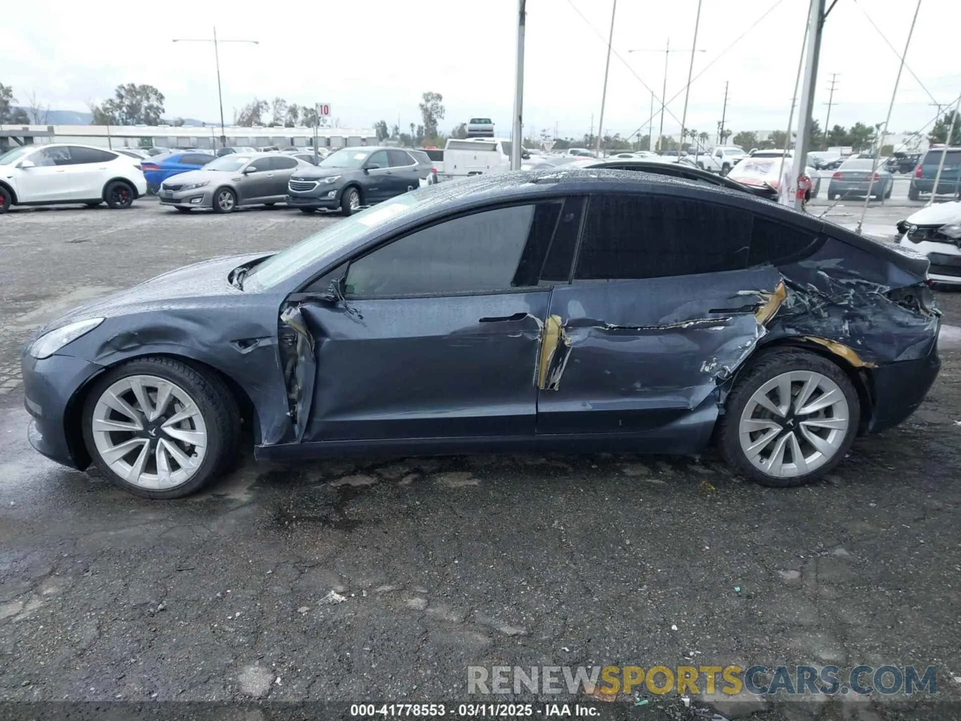 13 fotografías del automóvil dañado 5YJ3E1EB8MF936695 TESLA MODEL 3 2021