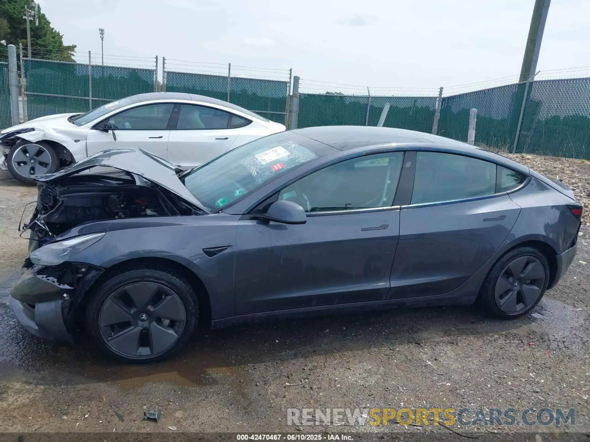 14 fotografías del automóvil dañado 5YJ3E1EB9MF924698 TESLA MODEL 3 2021