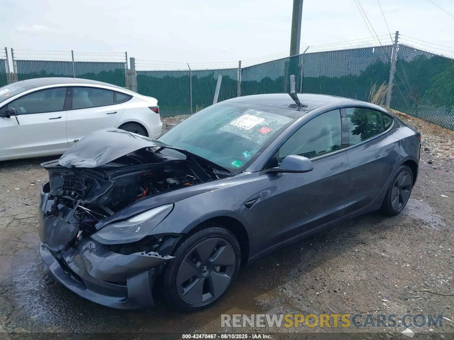 2 fotografías del automóvil dañado 5YJ3E1EB9MF924698 TESLA MODEL 3 2021