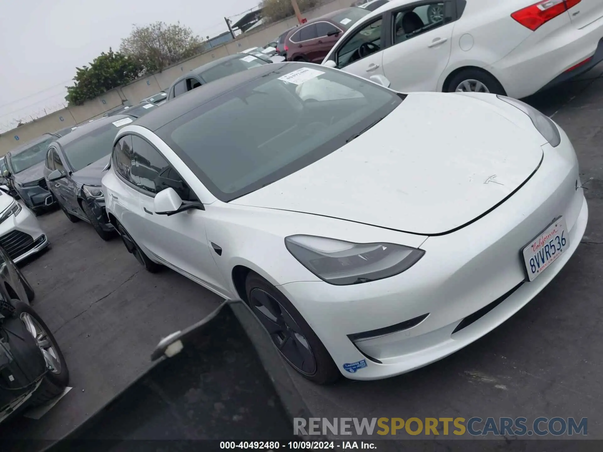 1 fotografías del automóvil dañado 5YJ3E1EB9MF939038 TESLA MODEL 3 2021