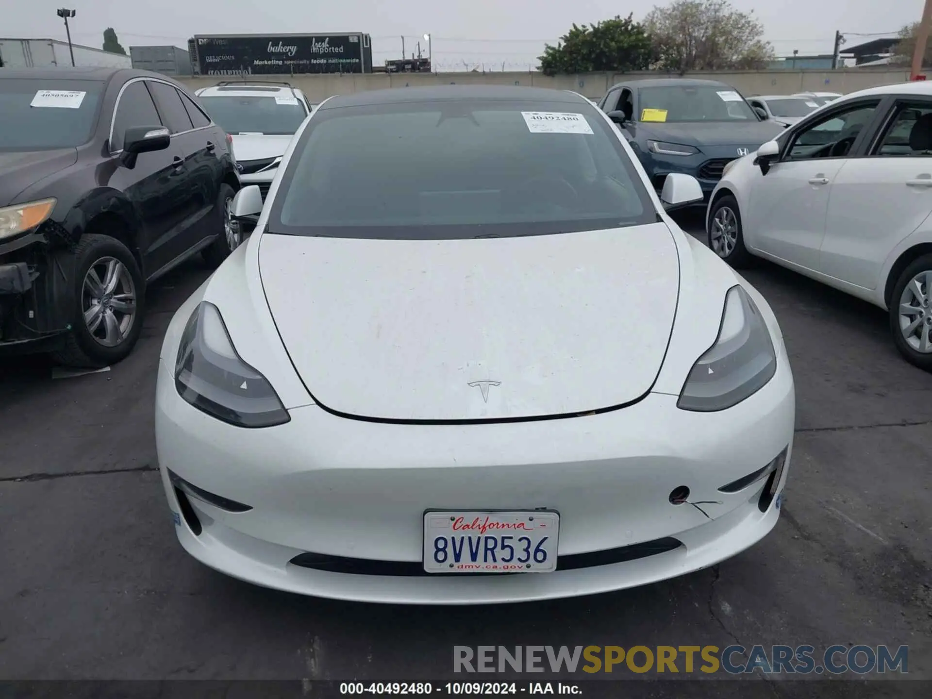 12 fotografías del automóvil dañado 5YJ3E1EB9MF939038 TESLA MODEL 3 2021