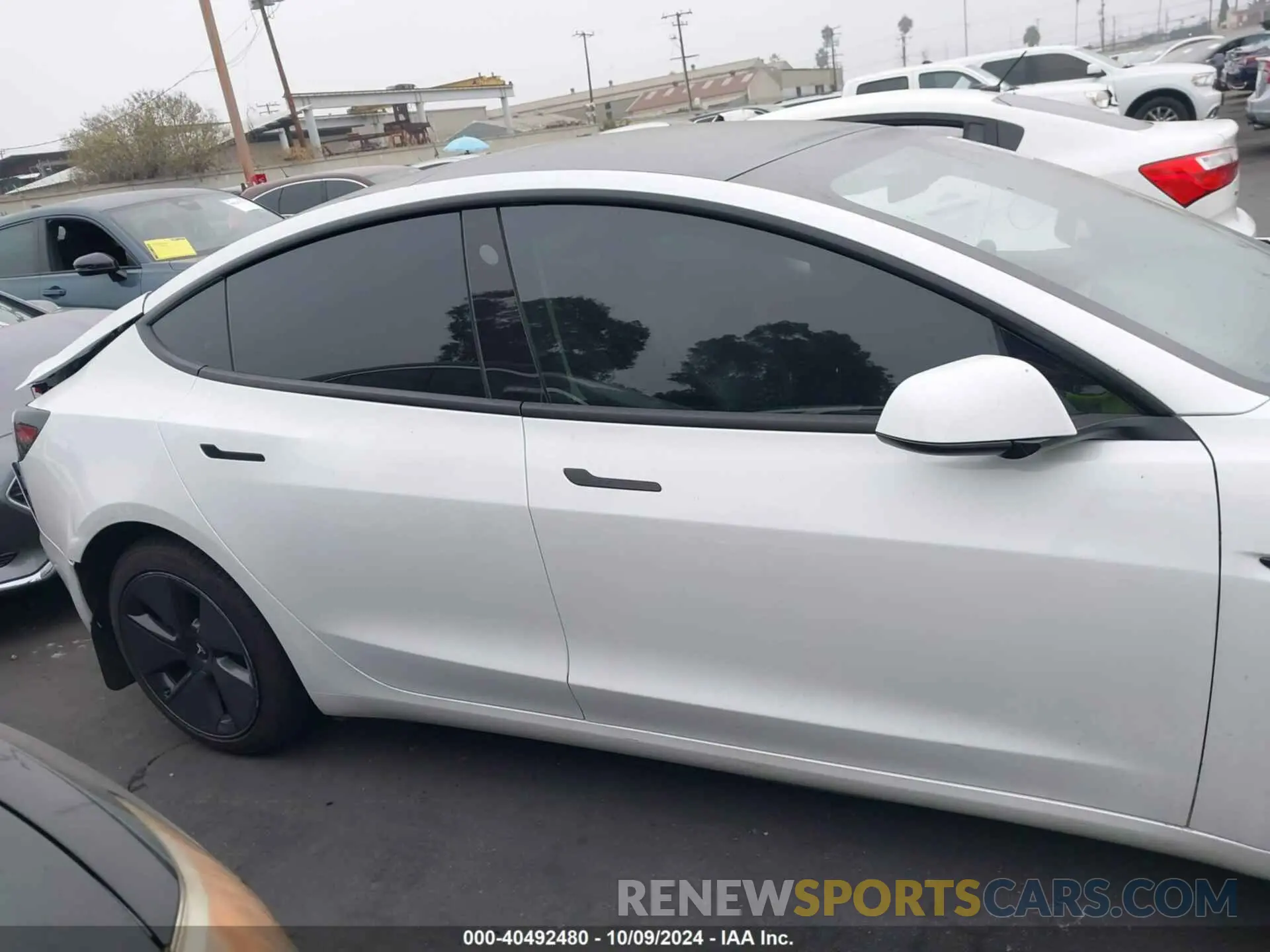 13 fotografías del automóvil dañado 5YJ3E1EB9MF939038 TESLA MODEL 3 2021