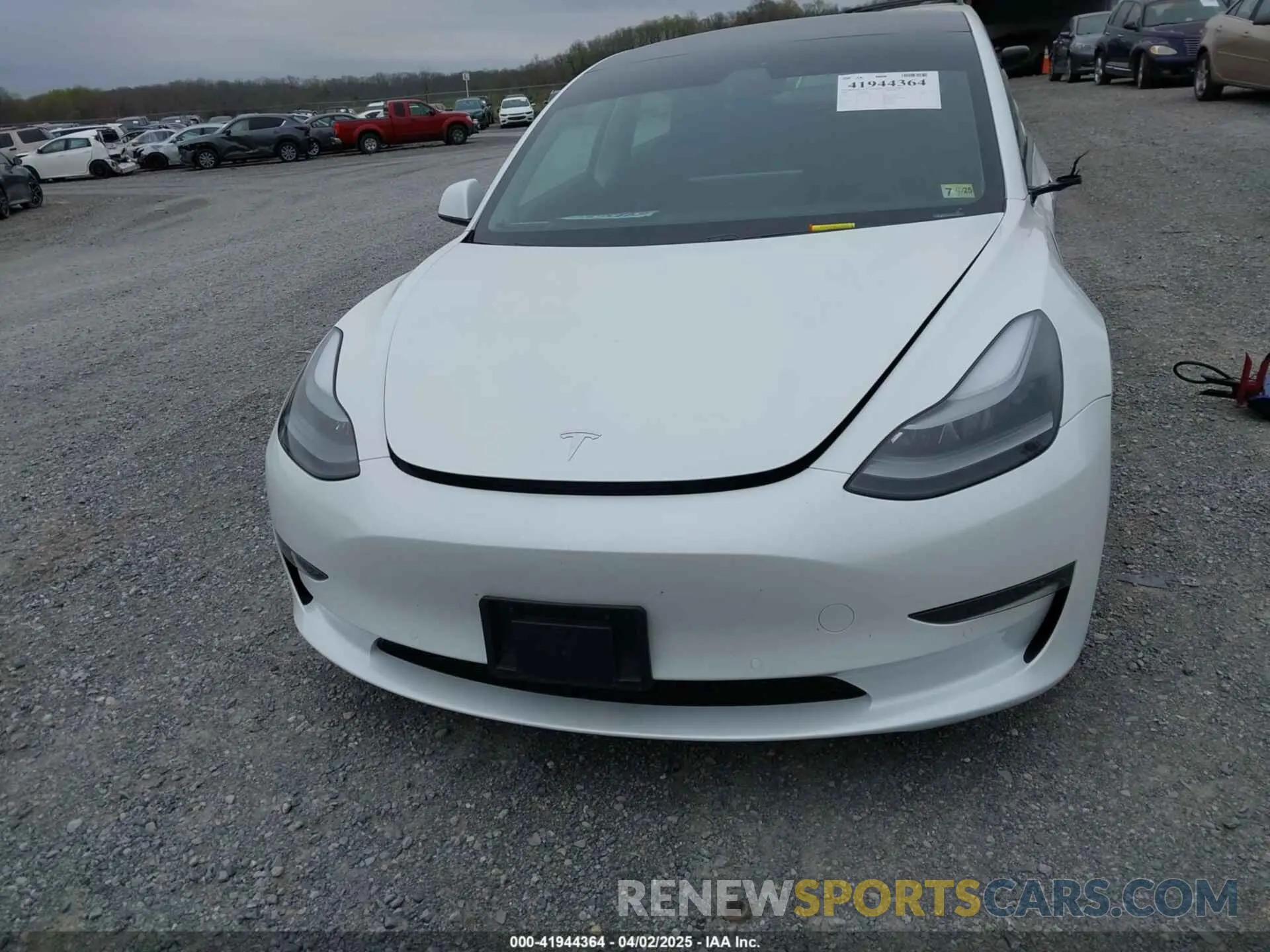 12 fotografías del automóvil dañado 5YJ3E1EBXMF980102 TESLA MODEL 3 2021