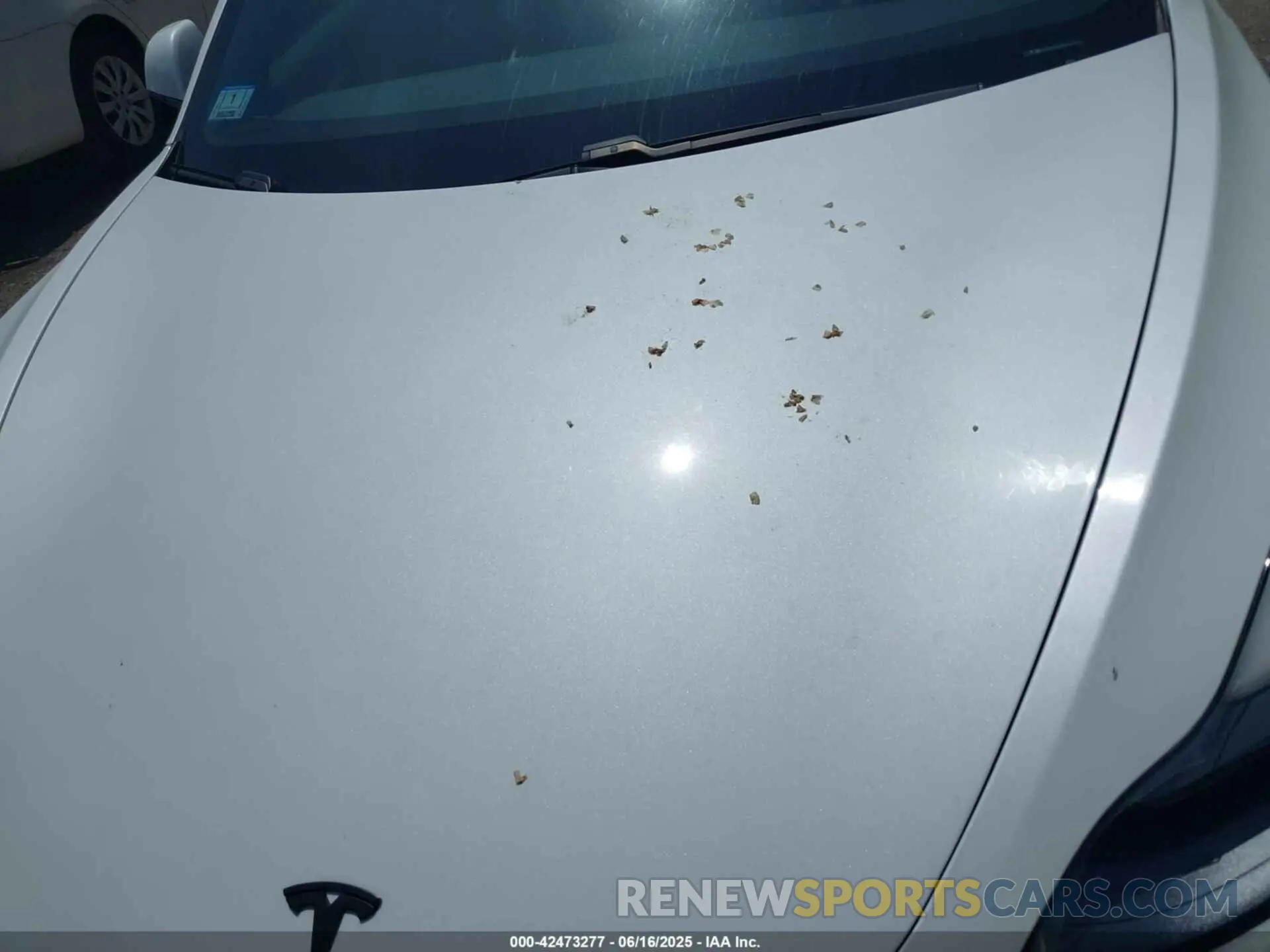 10 fotografías del automóvil dañado 5YJ3E1EC4MF044601 TESLA MODEL 3 2021