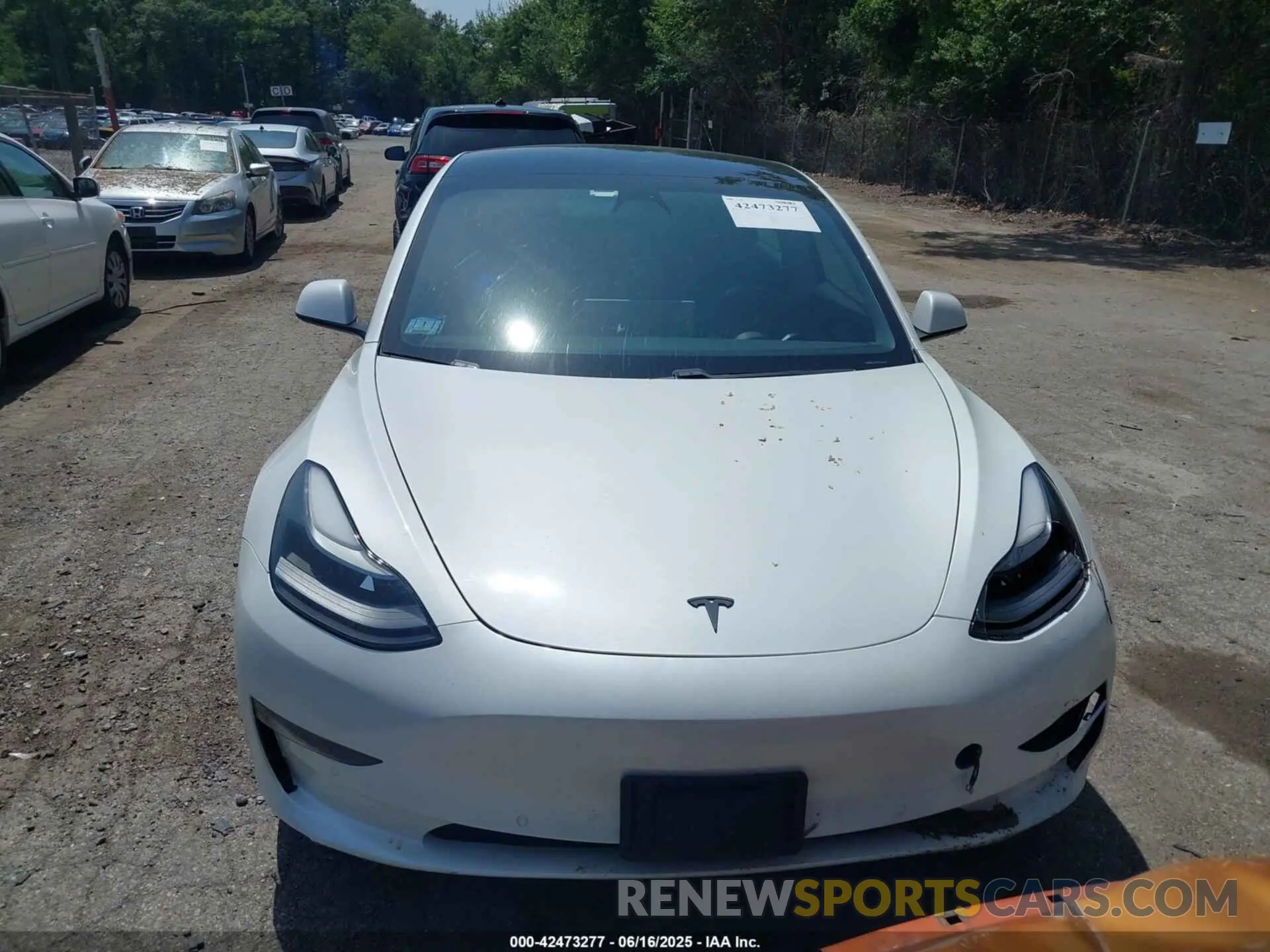 11 fotografías del automóvil dañado 5YJ3E1EC4MF044601 TESLA MODEL 3 2021