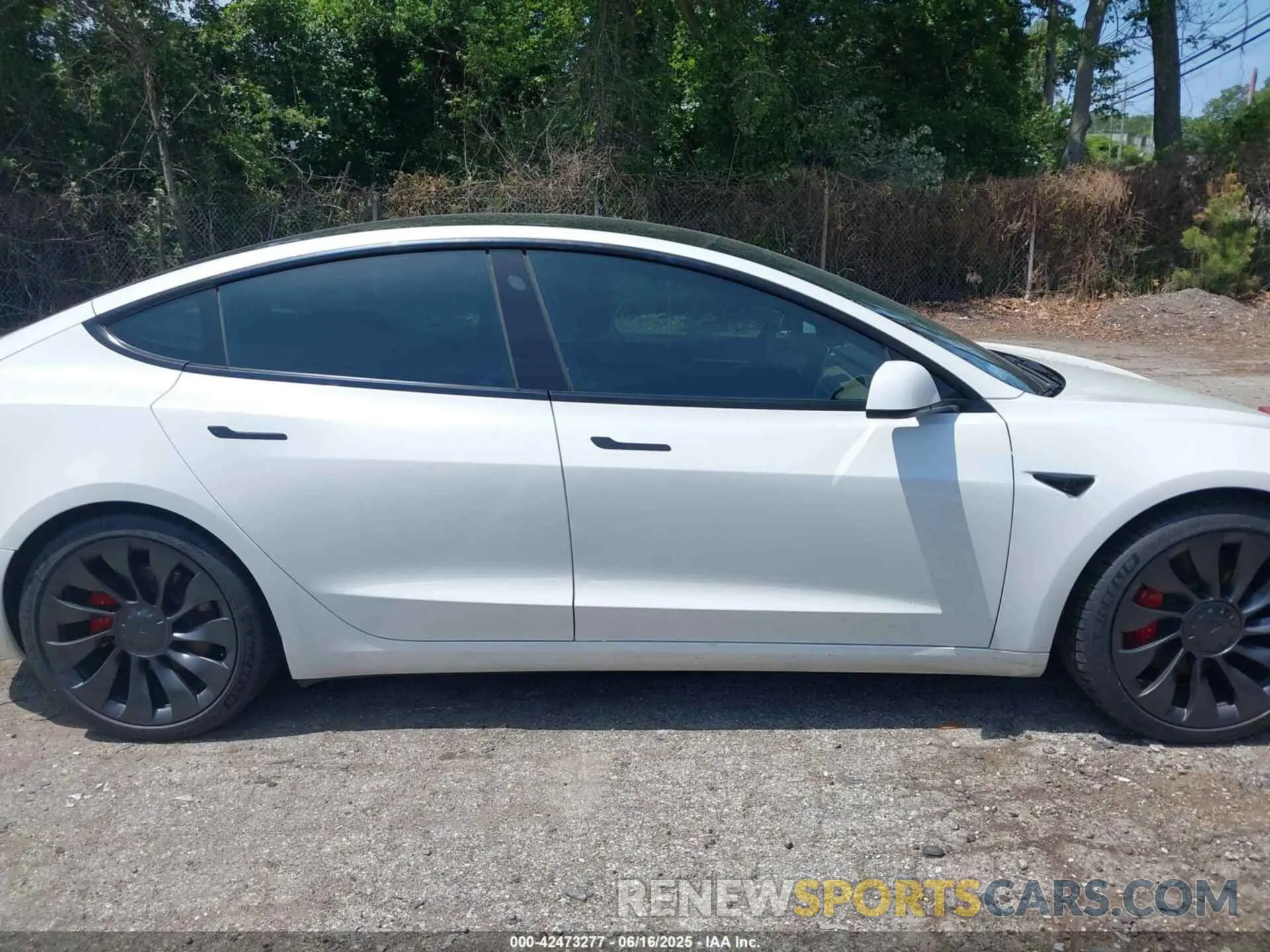 12 fotografías del automóvil dañado 5YJ3E1EC4MF044601 TESLA MODEL 3 2021
