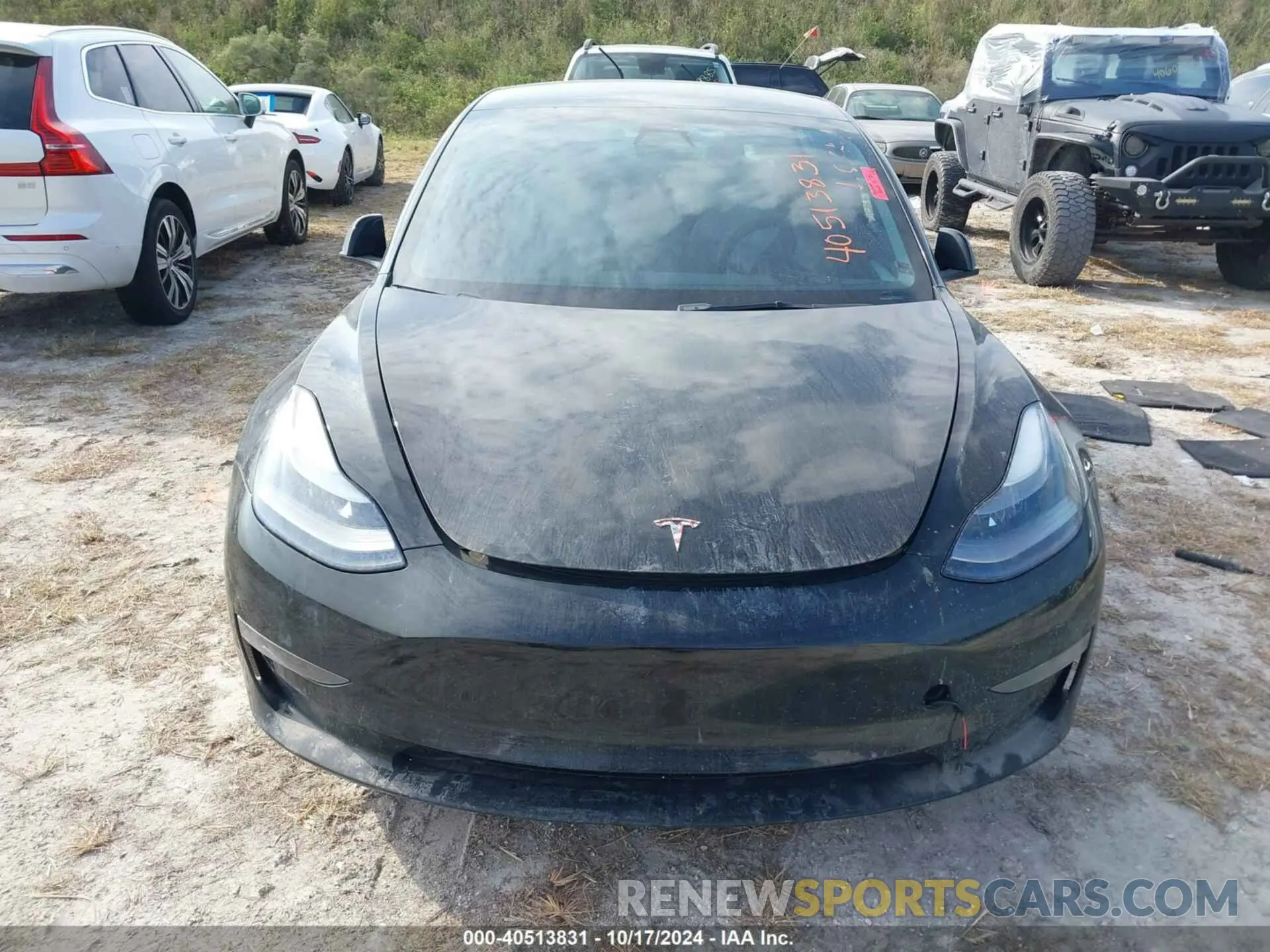 11 fotografías del automóvil dañado 5YJ3E1EC7MF092545 TESLA MODEL 3 2021