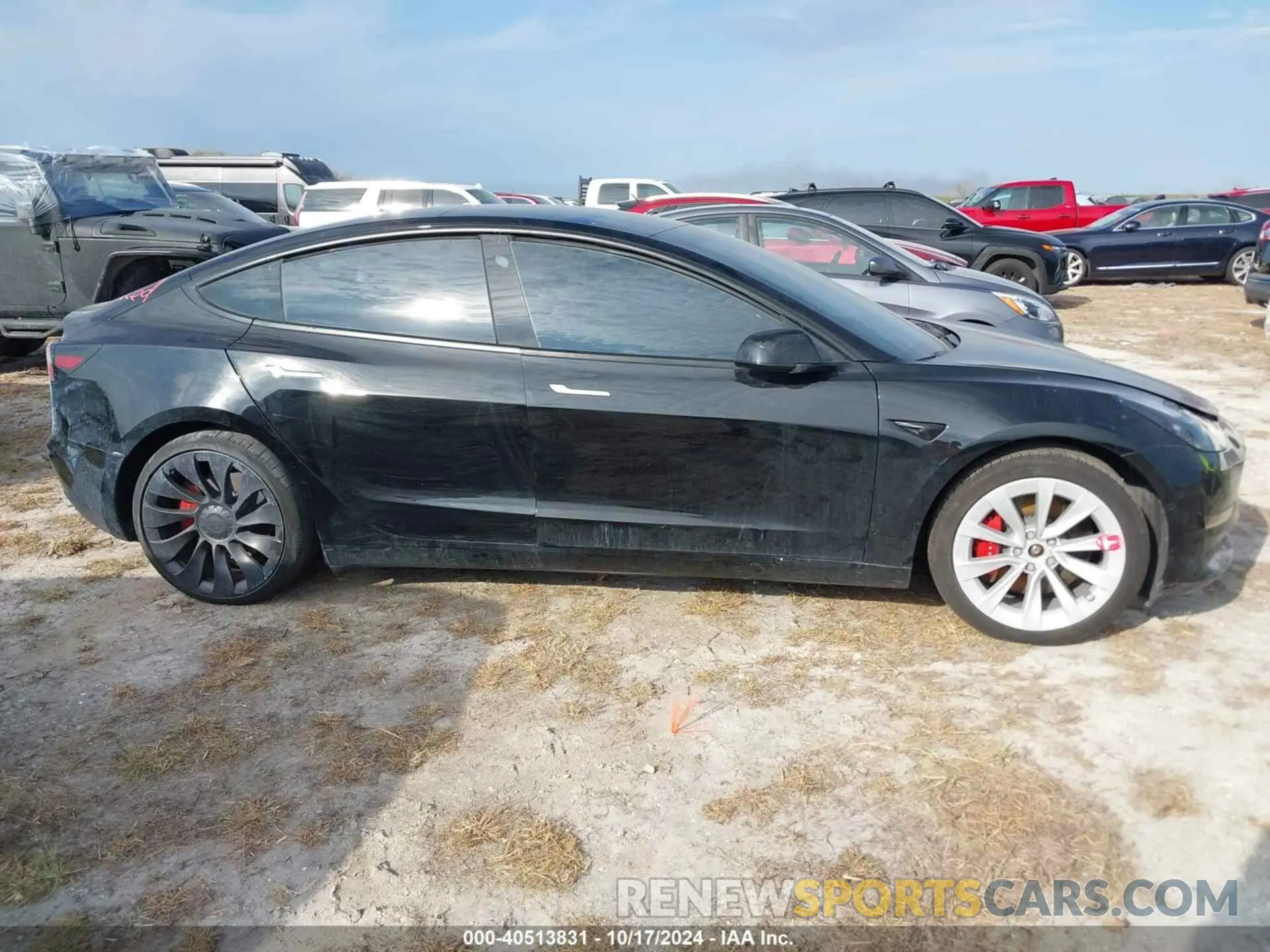 12 fotografías del automóvil dañado 5YJ3E1EC7MF092545 TESLA MODEL 3 2021