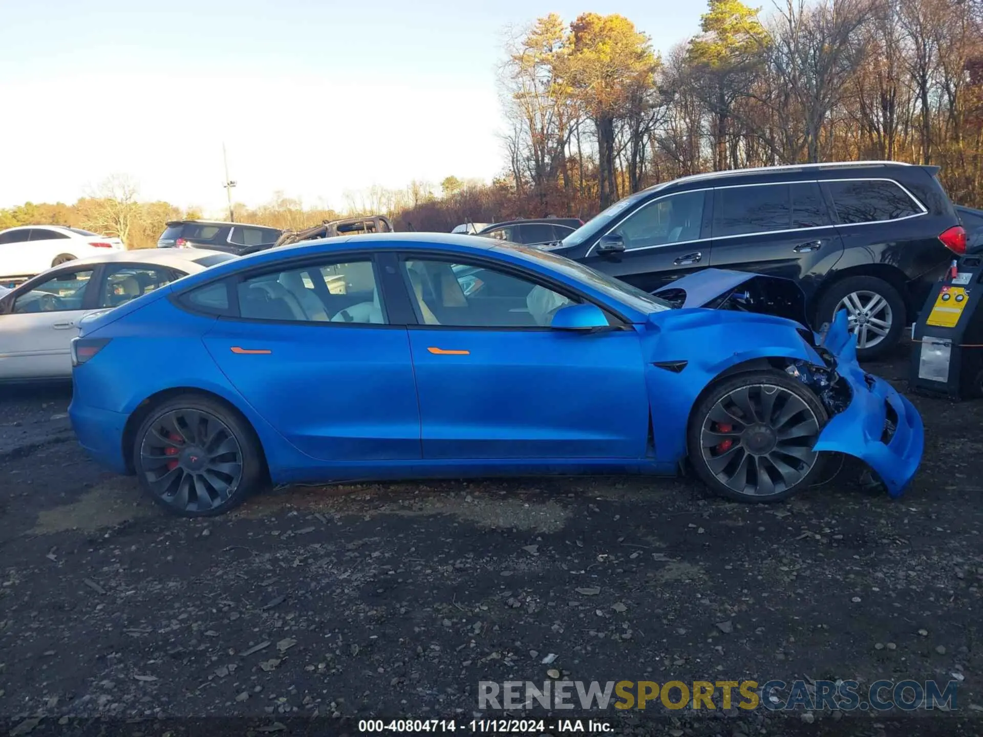 12 fotografías del automóvil dañado 5YJ3E1EC9MF059675 TESLA MODEL 3 2021