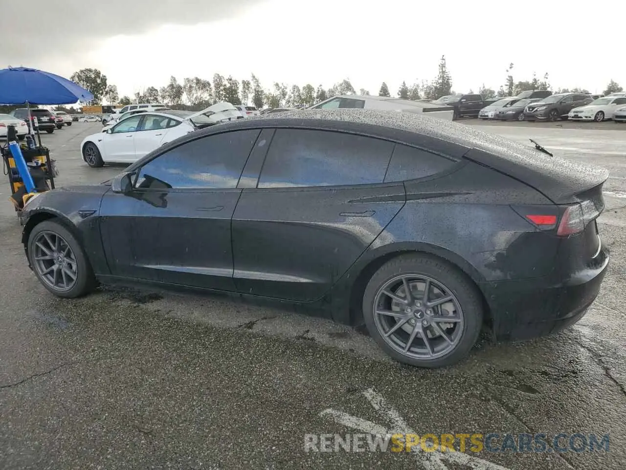 2 fotografías del automóvil dañado 5YJ3E1EA2NF234039 TESLA MODEL 3 2022