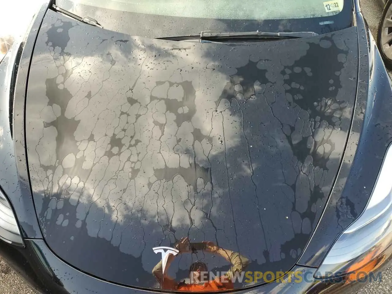 11 fotografías del automóvil dañado 5YJ3E1EA8NF120675 TESLA MODEL 3 2022