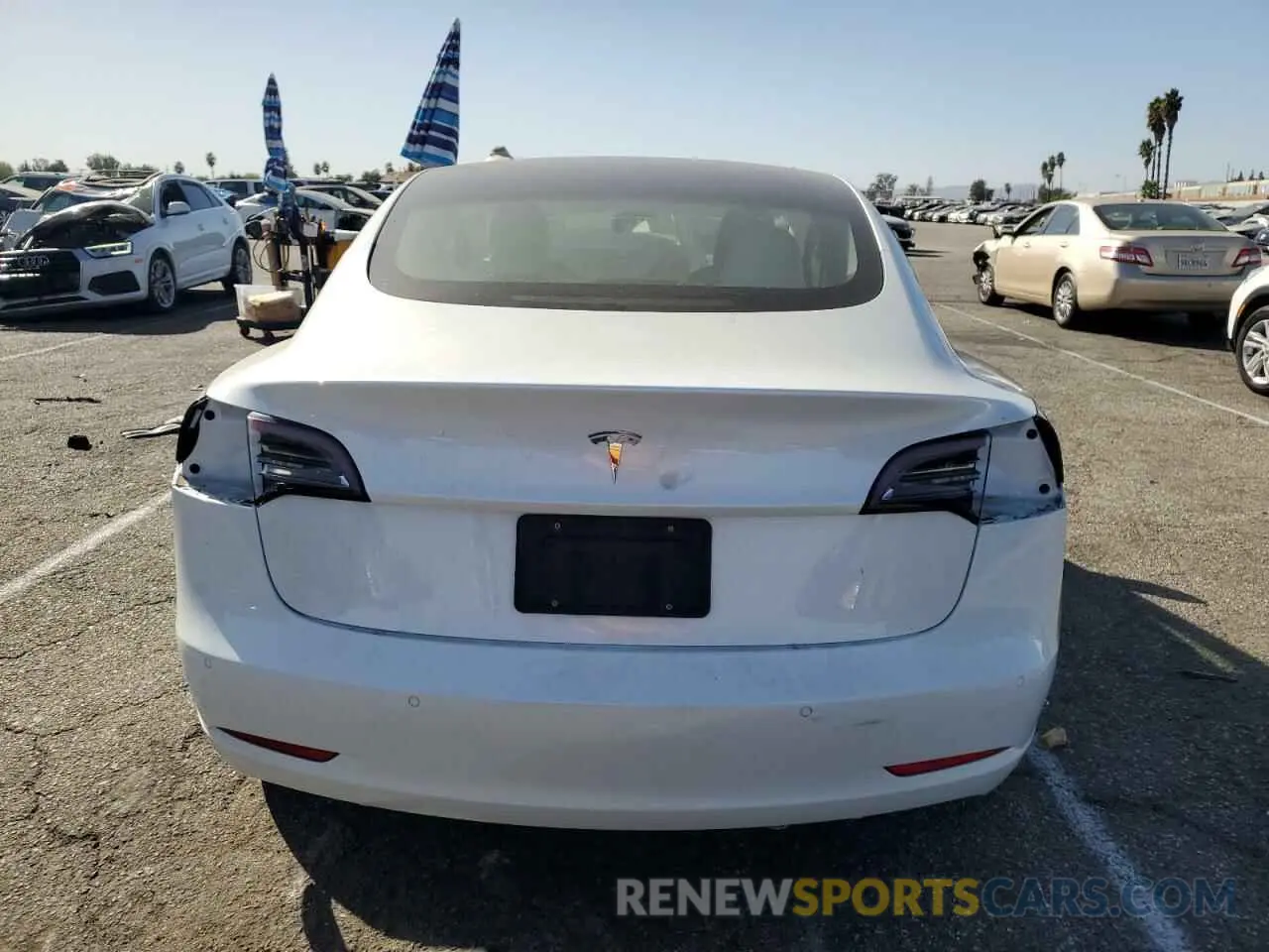 6 fotografías del automóvil dañado 5YJ3E1EA8NF244929 TESLA MODEL 3 2022