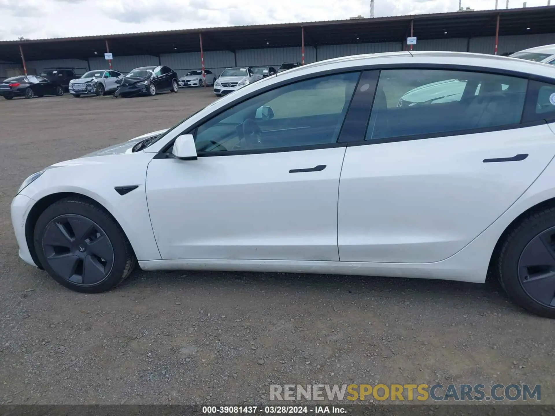 15 fotografías del automóvil dañado 5YJ3E1EA8NF245952 TESLA MODEL 3 2022