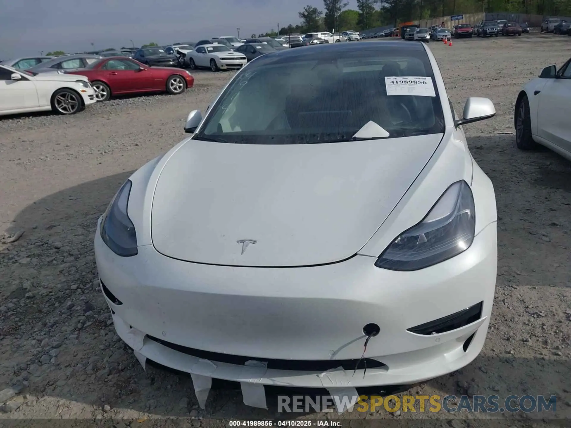 11 fotografías del automóvil dañado 5YJ3E1EA9NF124914 TESLA MODEL 3 2022