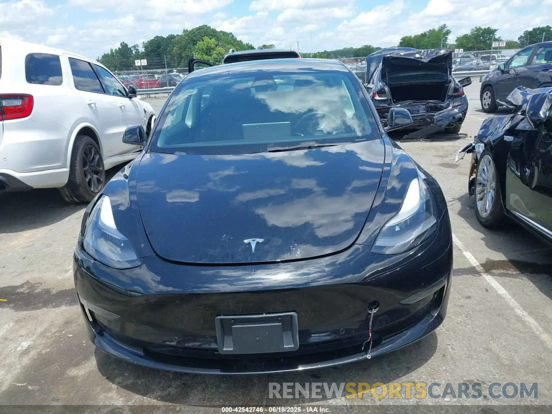 12 fotografías del automóvil dañado 5YJ3E1EAXNF291170 TESLA MODEL 3 2022