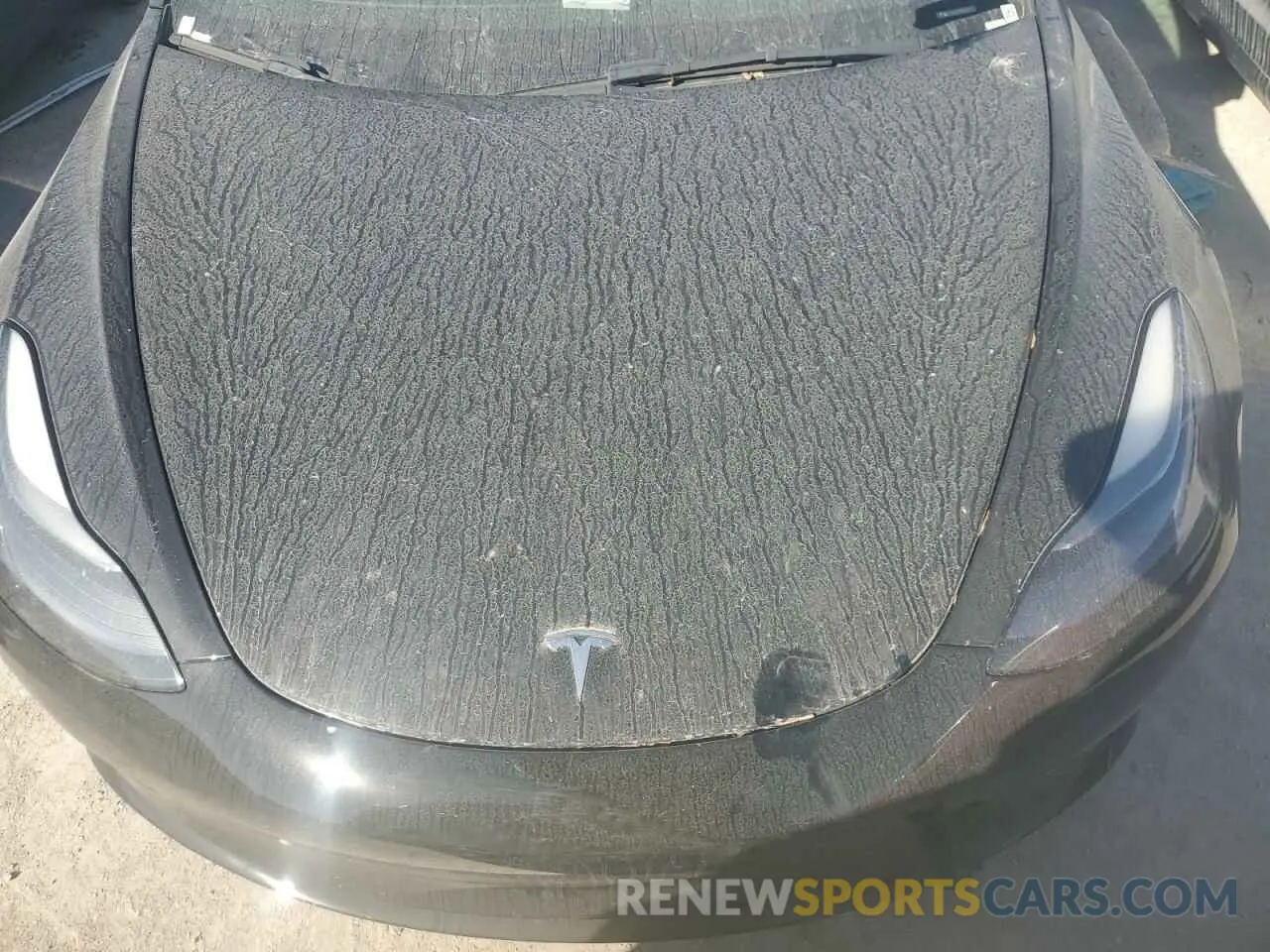 11 fotografías del automóvil dañado 5YJ3E1EAXNF371701 TESLA MODEL 3 2022