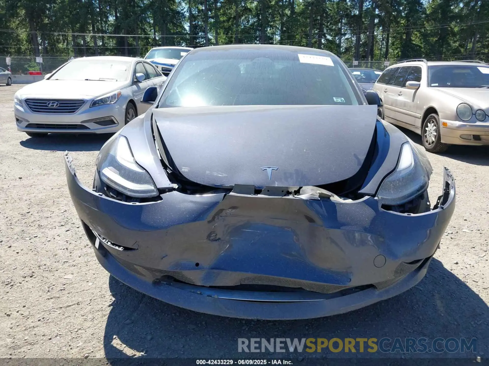 12 fotografías del automóvil dañado 5YJ3E1EB2NF182940 TESLA MODEL 3 2022